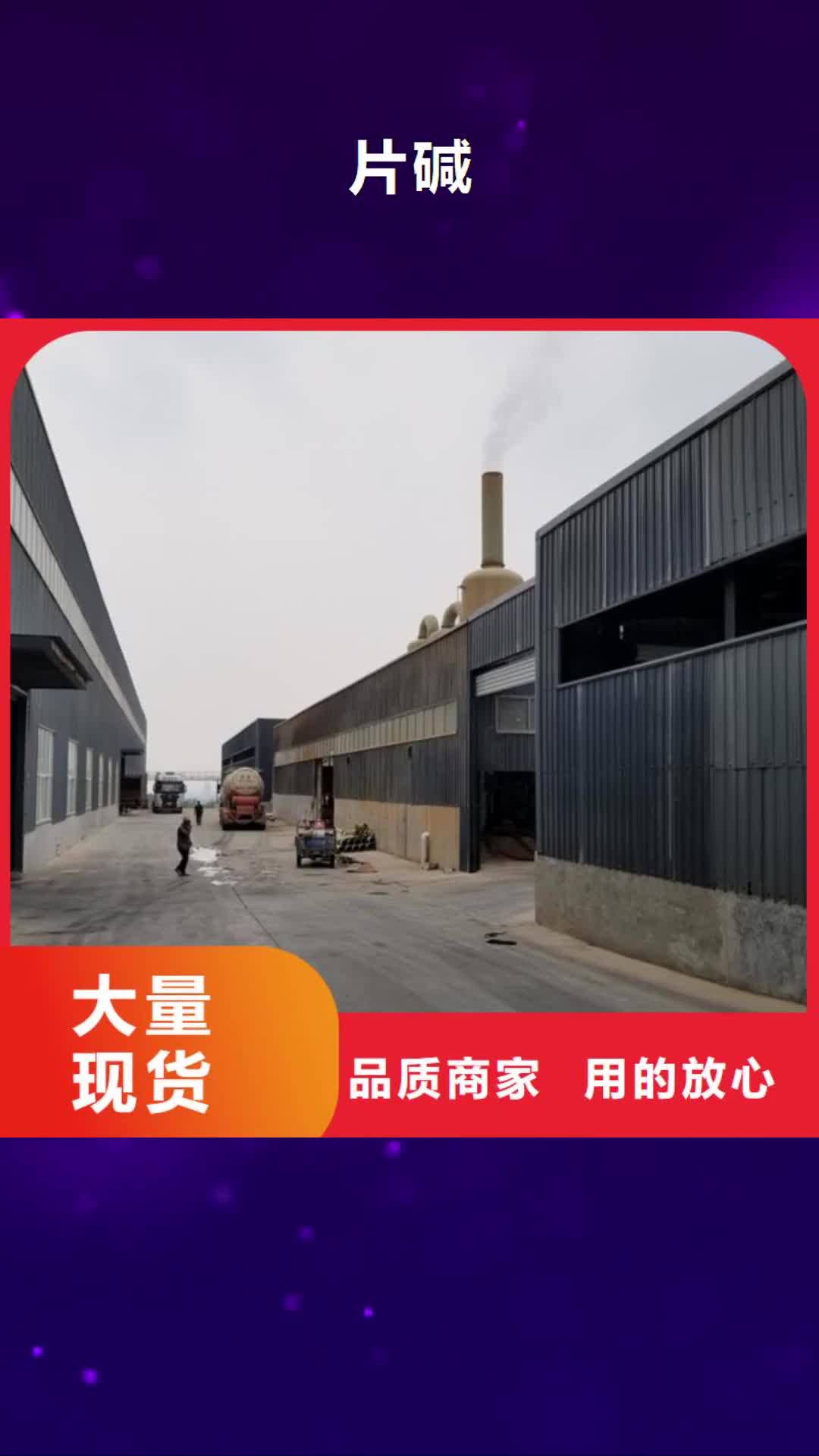 安顺 片碱【复合碳源】实体诚信厂家
