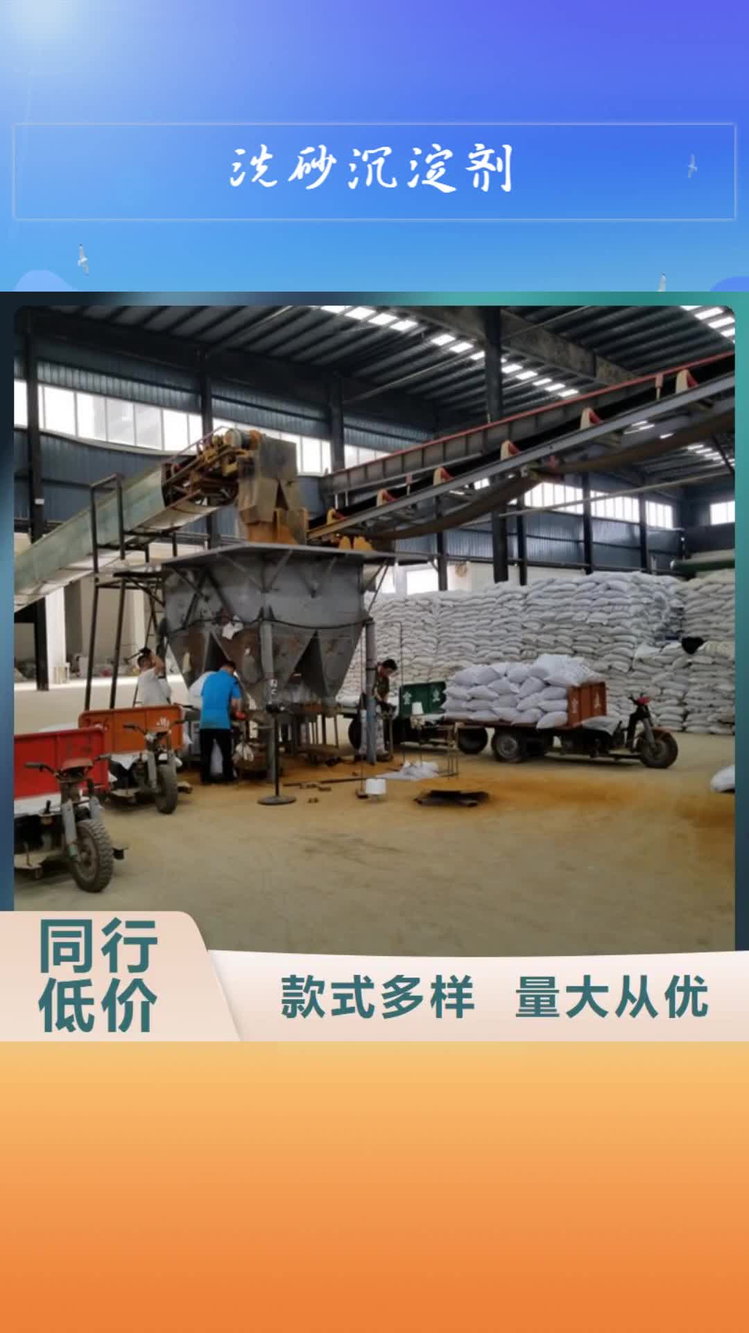遂宁【洗砂沉淀剂】,除磷剂精工细作品质优良
