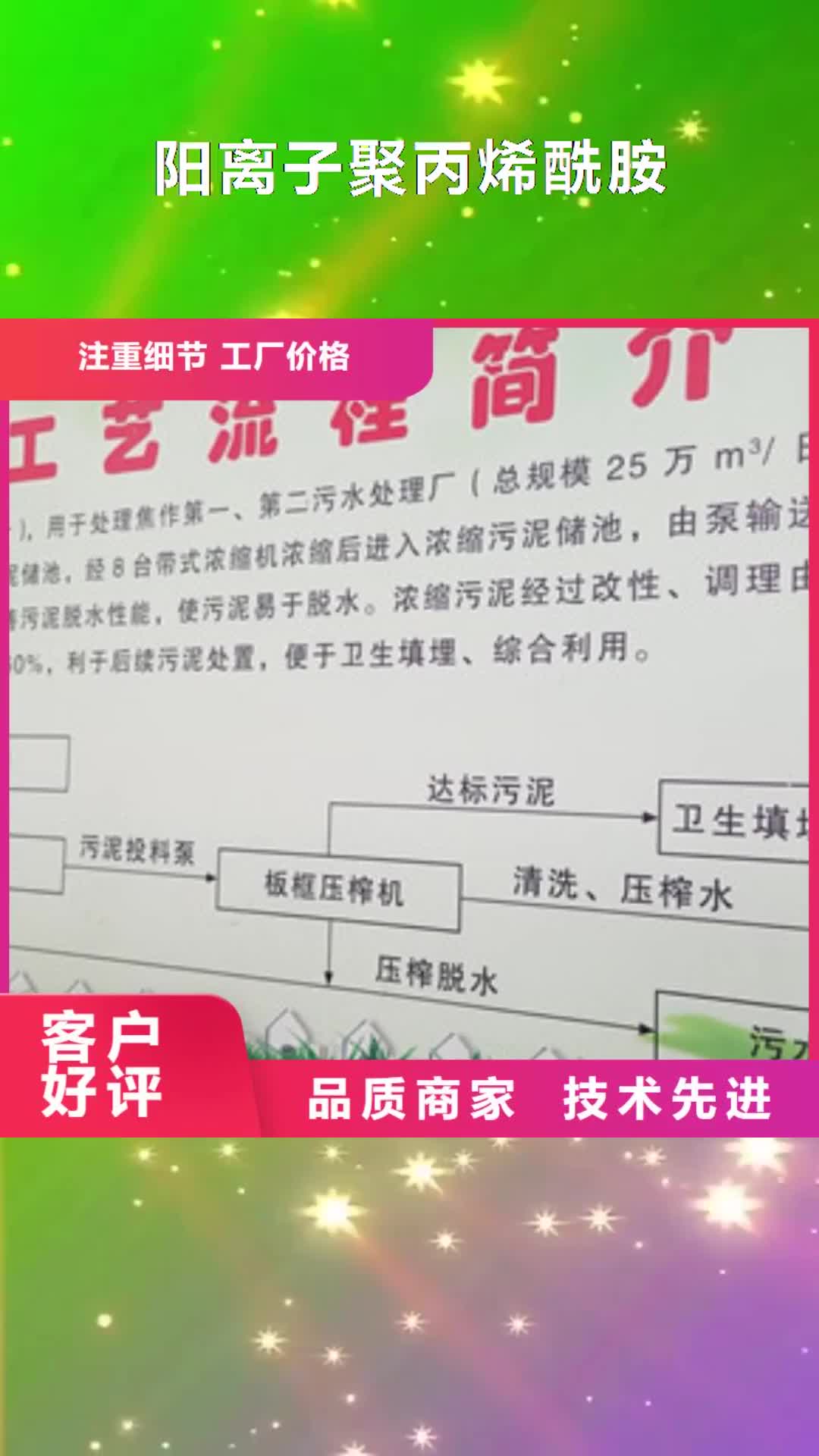 浙江 阳离子聚丙烯酰胺 【阴离子聚丙烯酰胺】专注生产N年