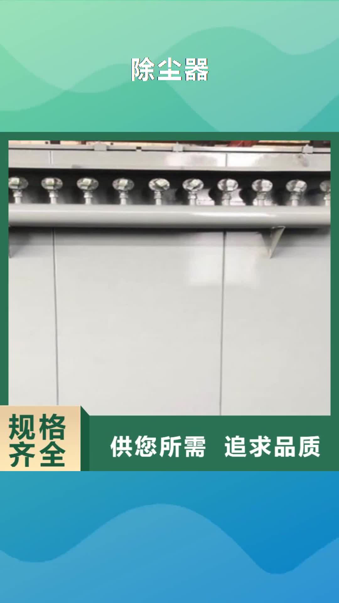 靖江【除尘器】 脉冲布袋除尘器厂家精致工艺