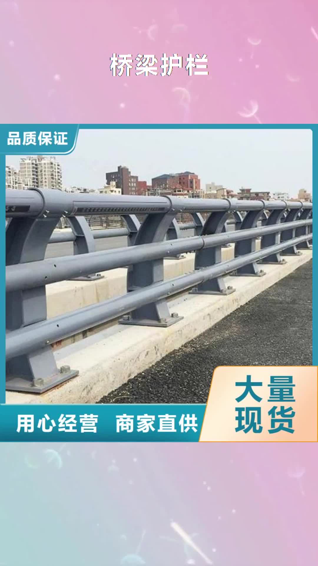 【阿拉善 桥梁护栏道路护栏商家】