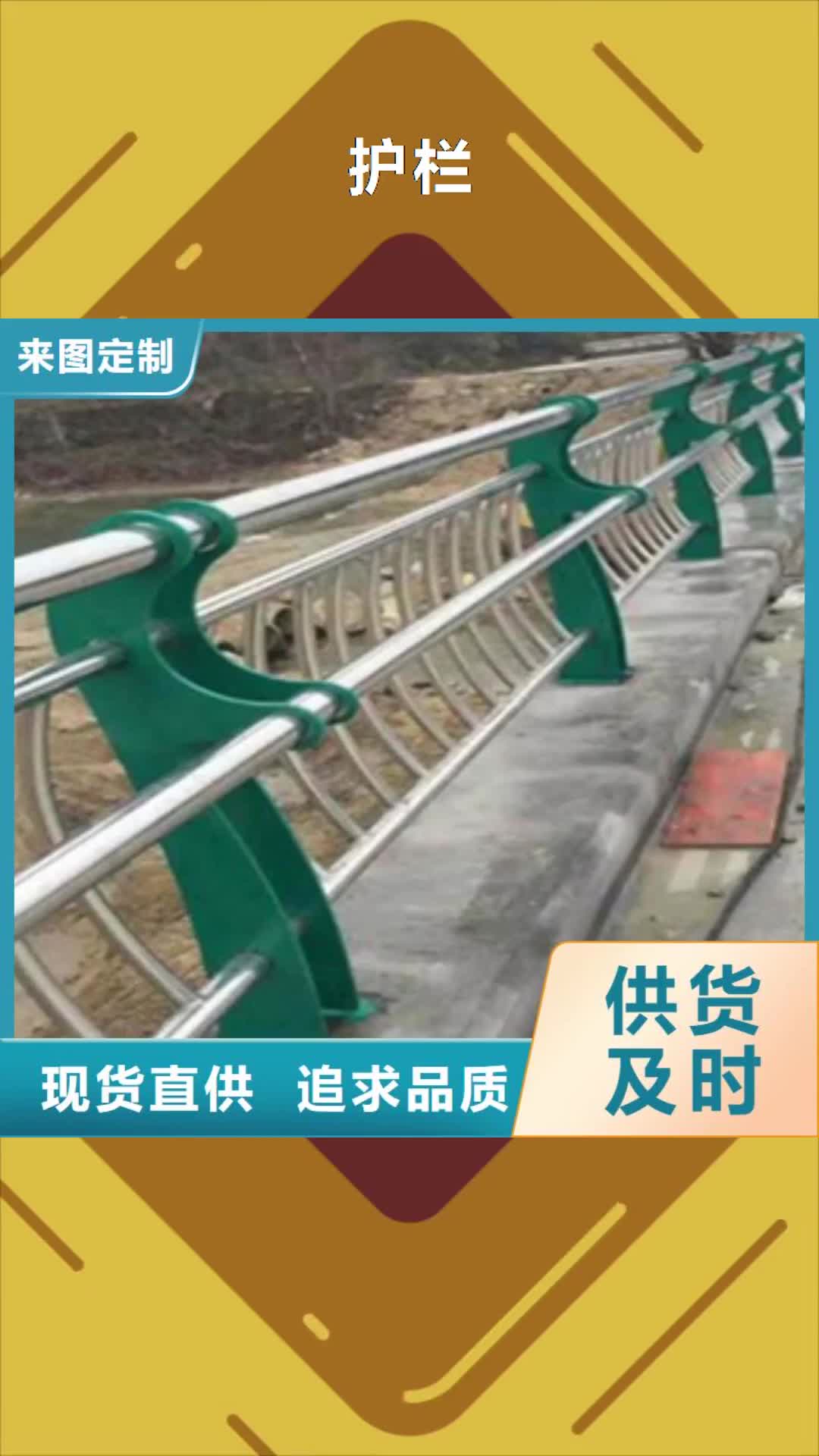 遂宁 护栏 【天桥防撞护栏】实力厂家直销