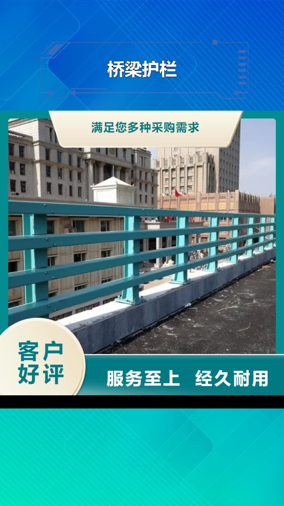 直辖 桥梁护栏,【天桥护栏】48小时发货