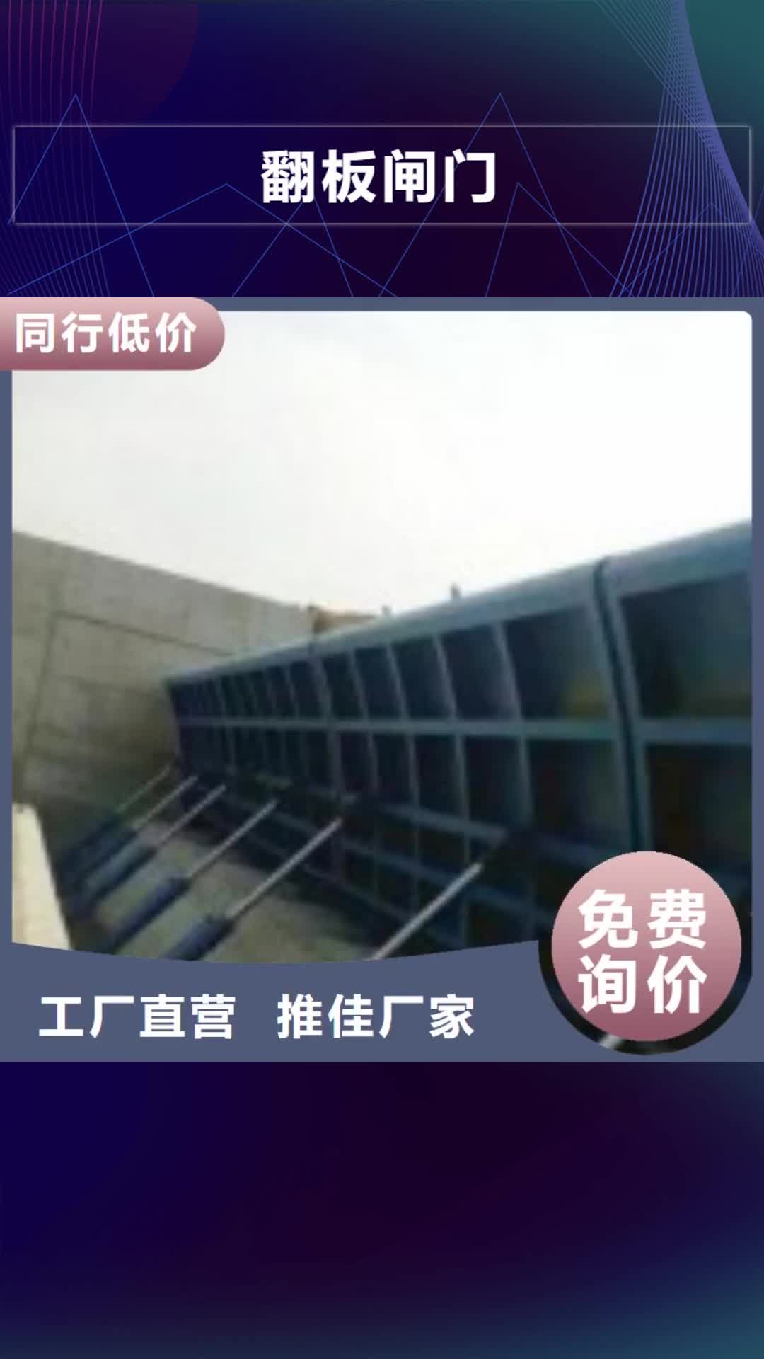 【重庆翻板闸门_卷扬启闭机厂家定制】