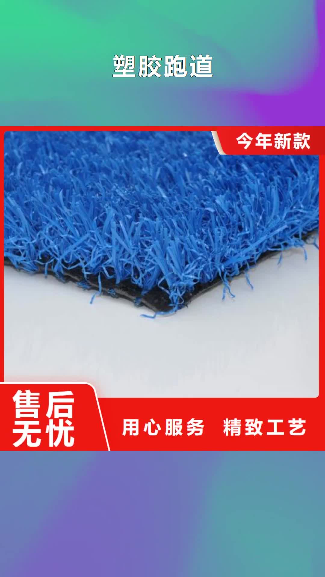 【绵阳 塑胶跑道_塑胶跑道厂家以质量求生存】