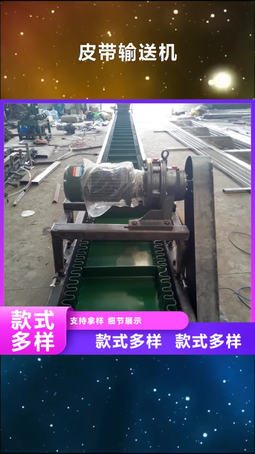 德阳 皮带输送机-【机厂家】随到随提