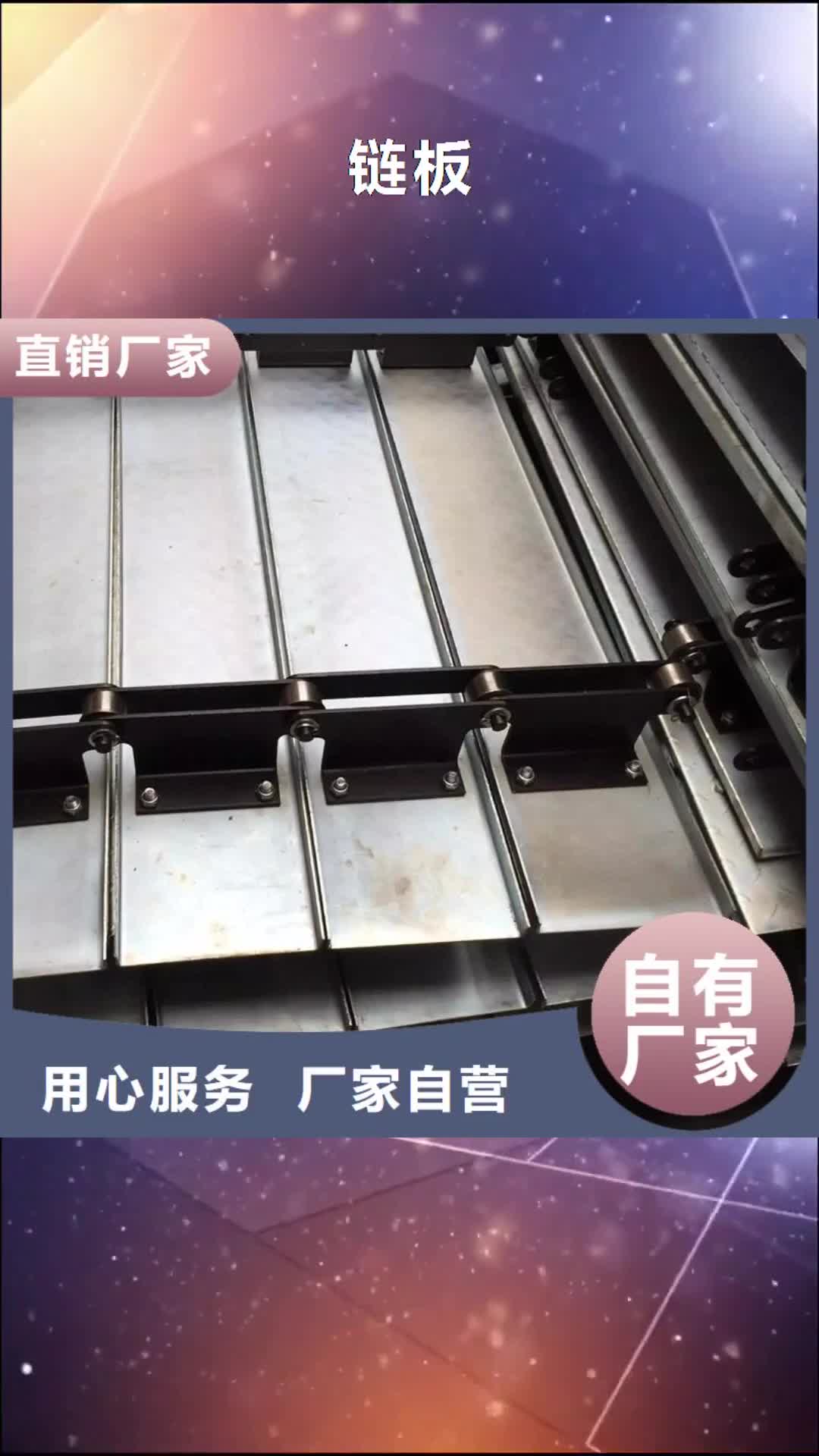 【日喀则 链板-输送机厂家订制批发】
