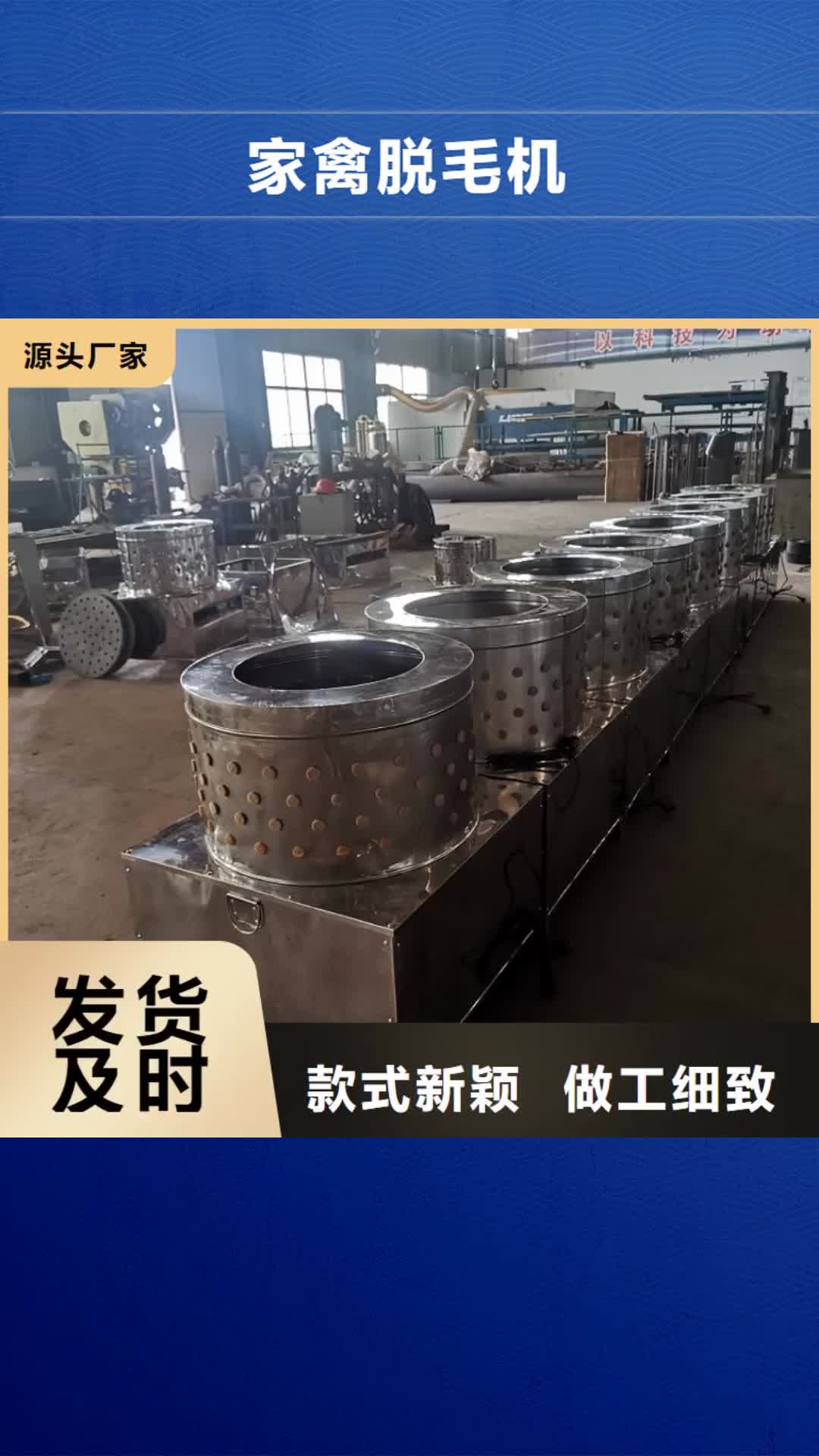 延边【家禽脱毛机】-输送带厂家可定制