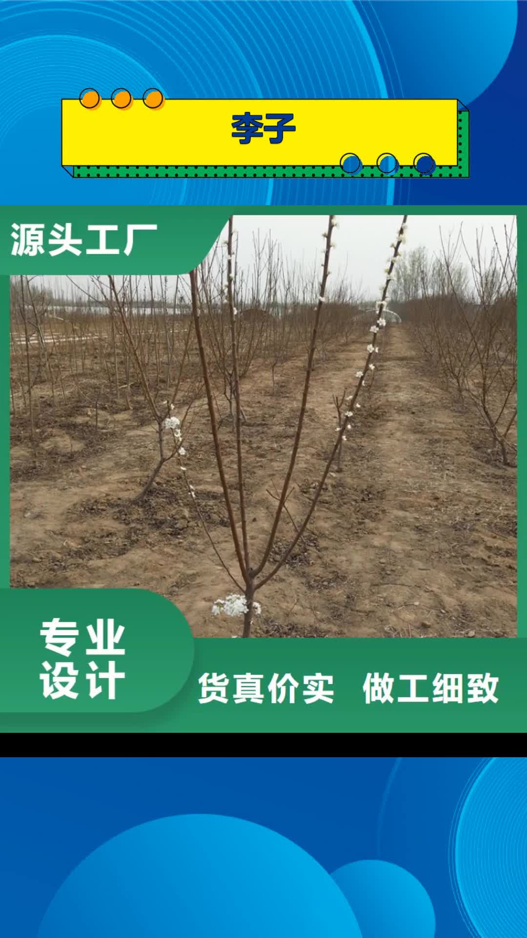 南平【李子】 桃树苗免费获取报价