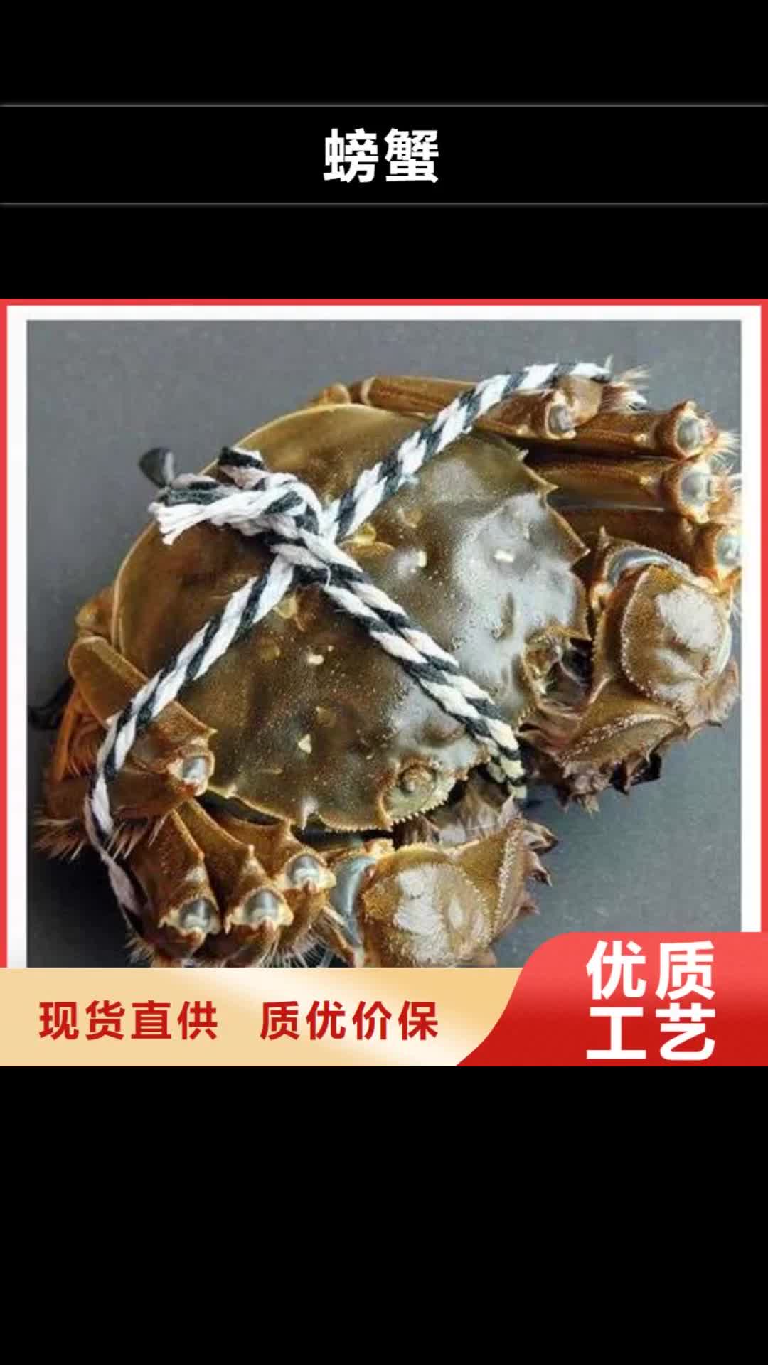 【广州 螃蟹-阳澄湖大闸蟹厂家工艺先进】