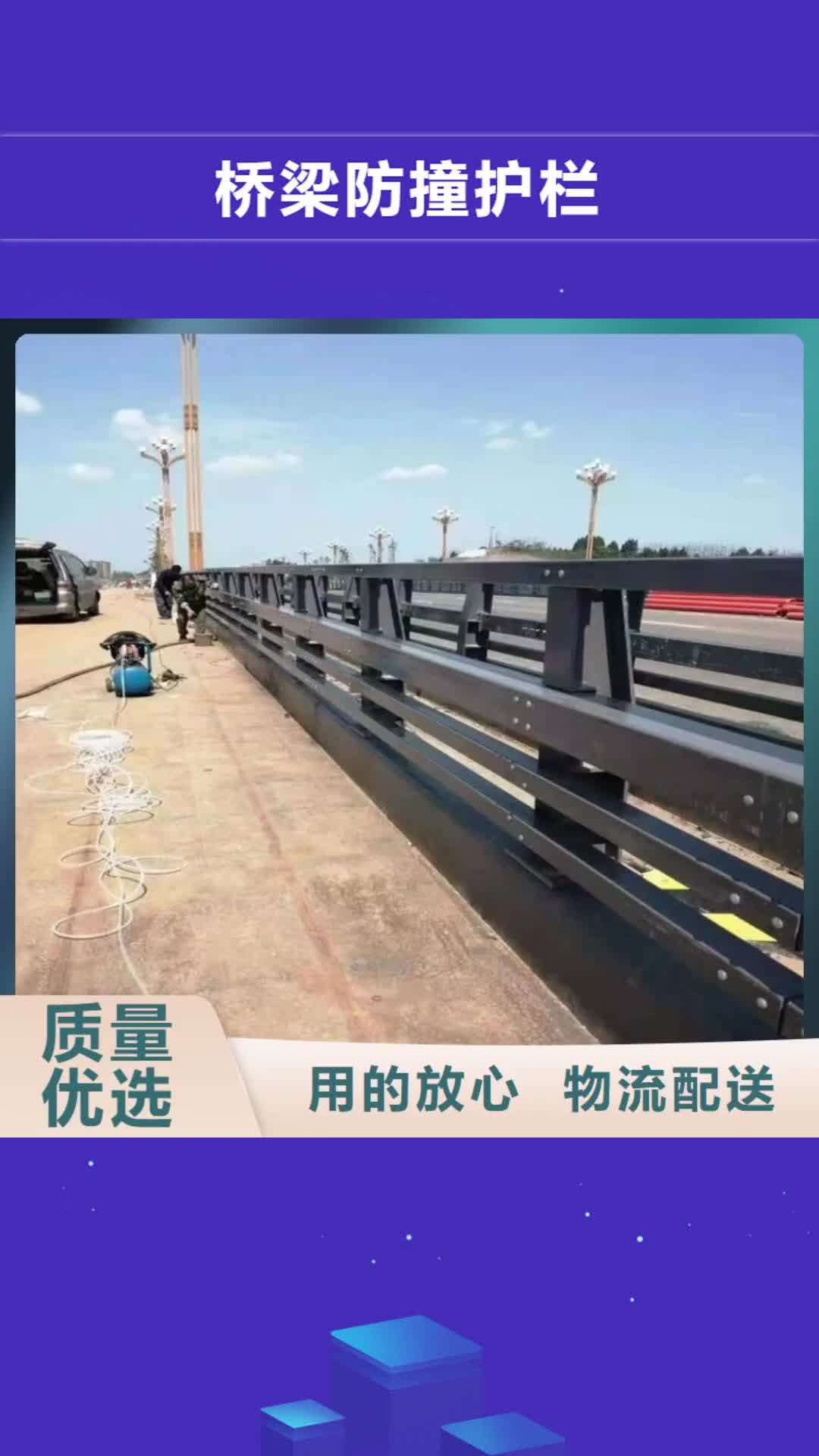 阜阳【桥梁防撞护栏】-镀锌管喷塑护栏精选优质材料