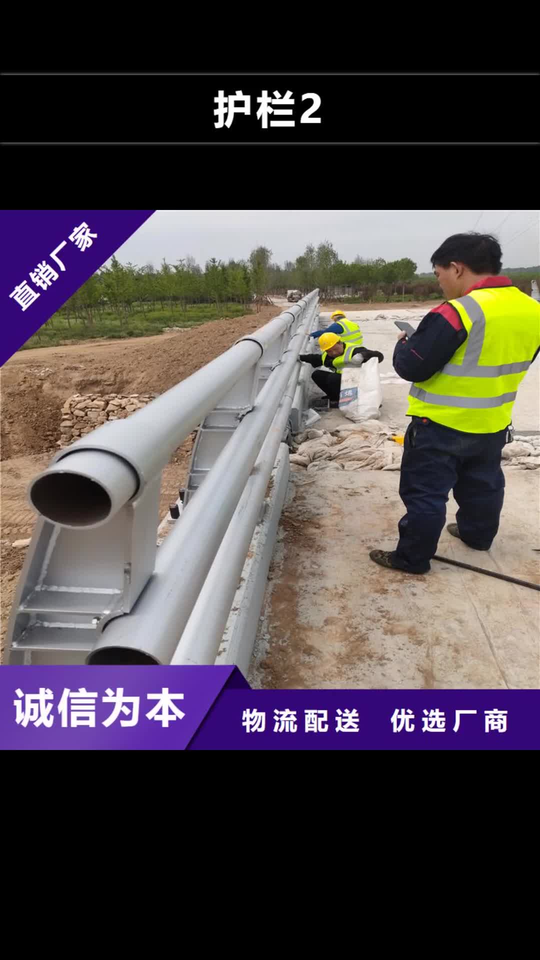 【海东 护栏2-桥梁栏杆厂实力厂商】