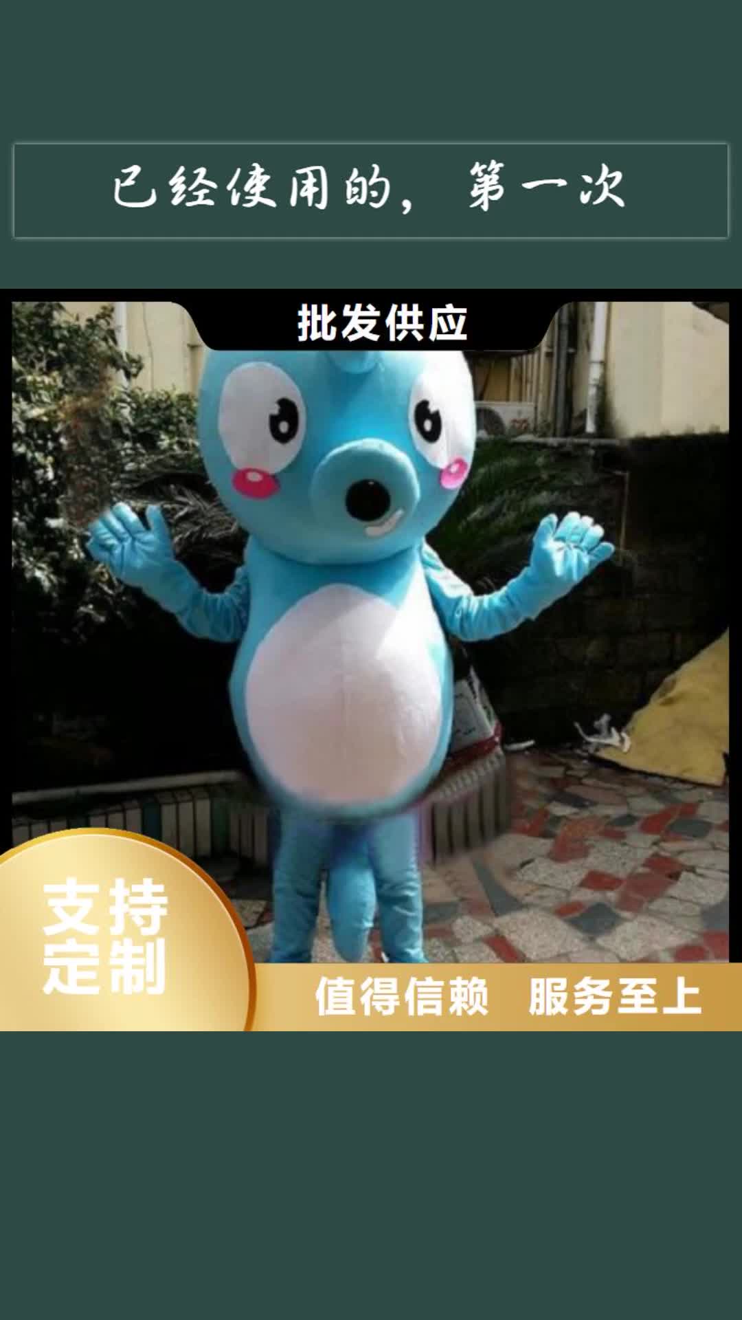 株洲【已经使用的，次】-卡通人偶多年行业经验