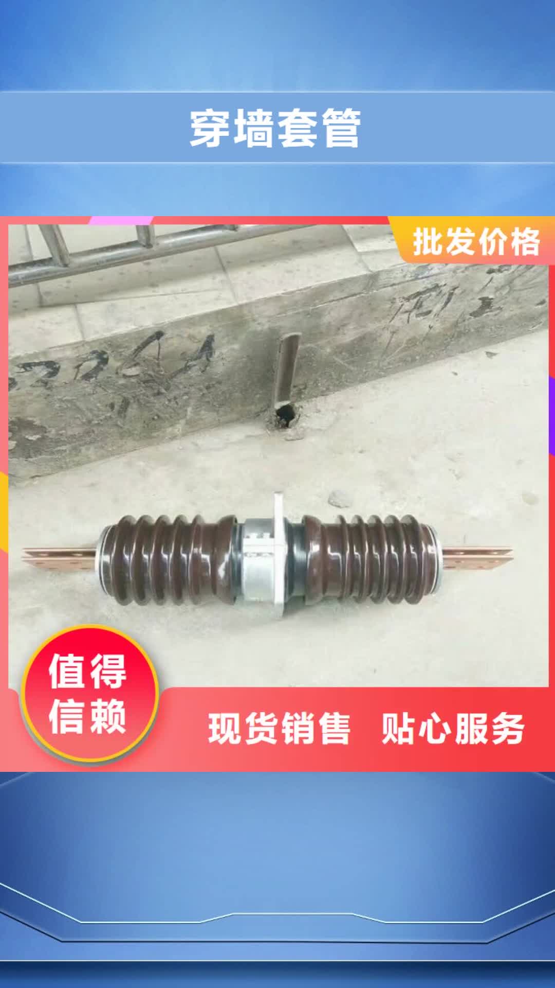 【攀枝花穿墙套管绝缘子商家】