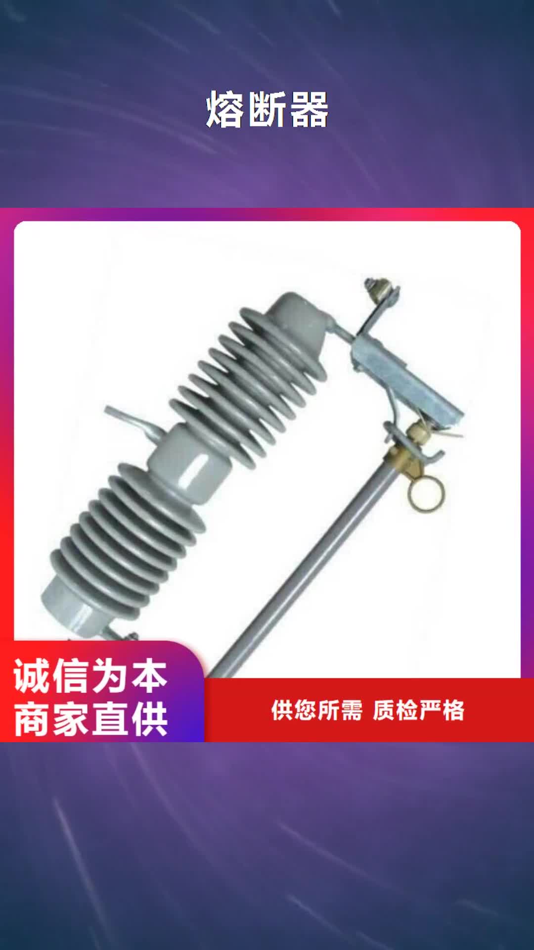 黄南 熔断器,【金属氧化物避雷器】来电咨询