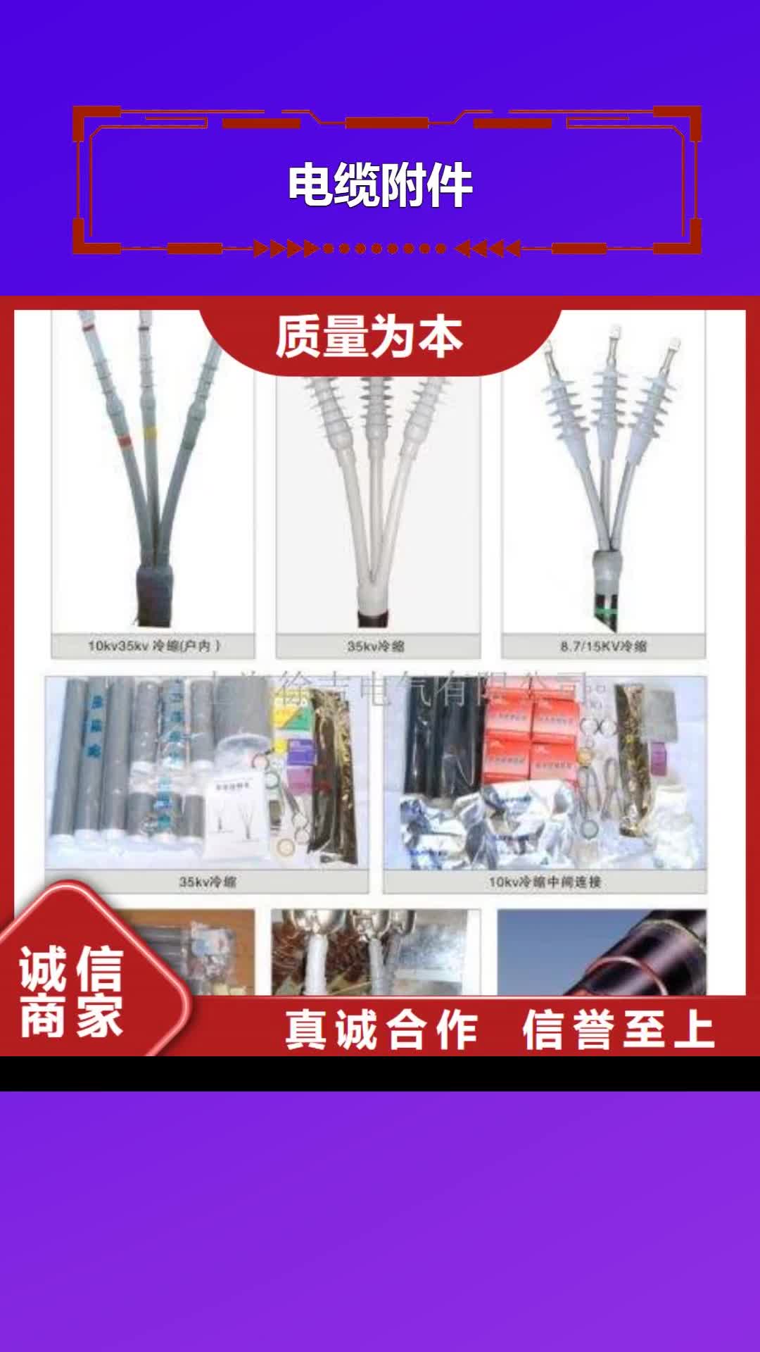 淮南电缆附件_【绝缘子】支持拿样
