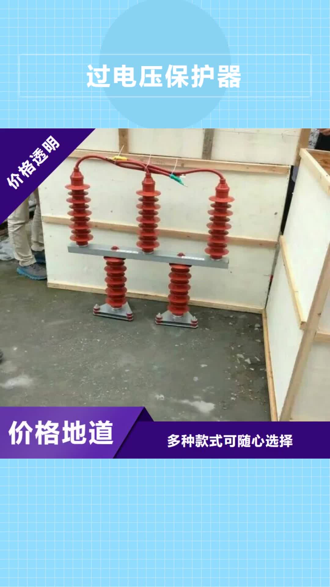 榆林过电压保护器断路器厂家厂家