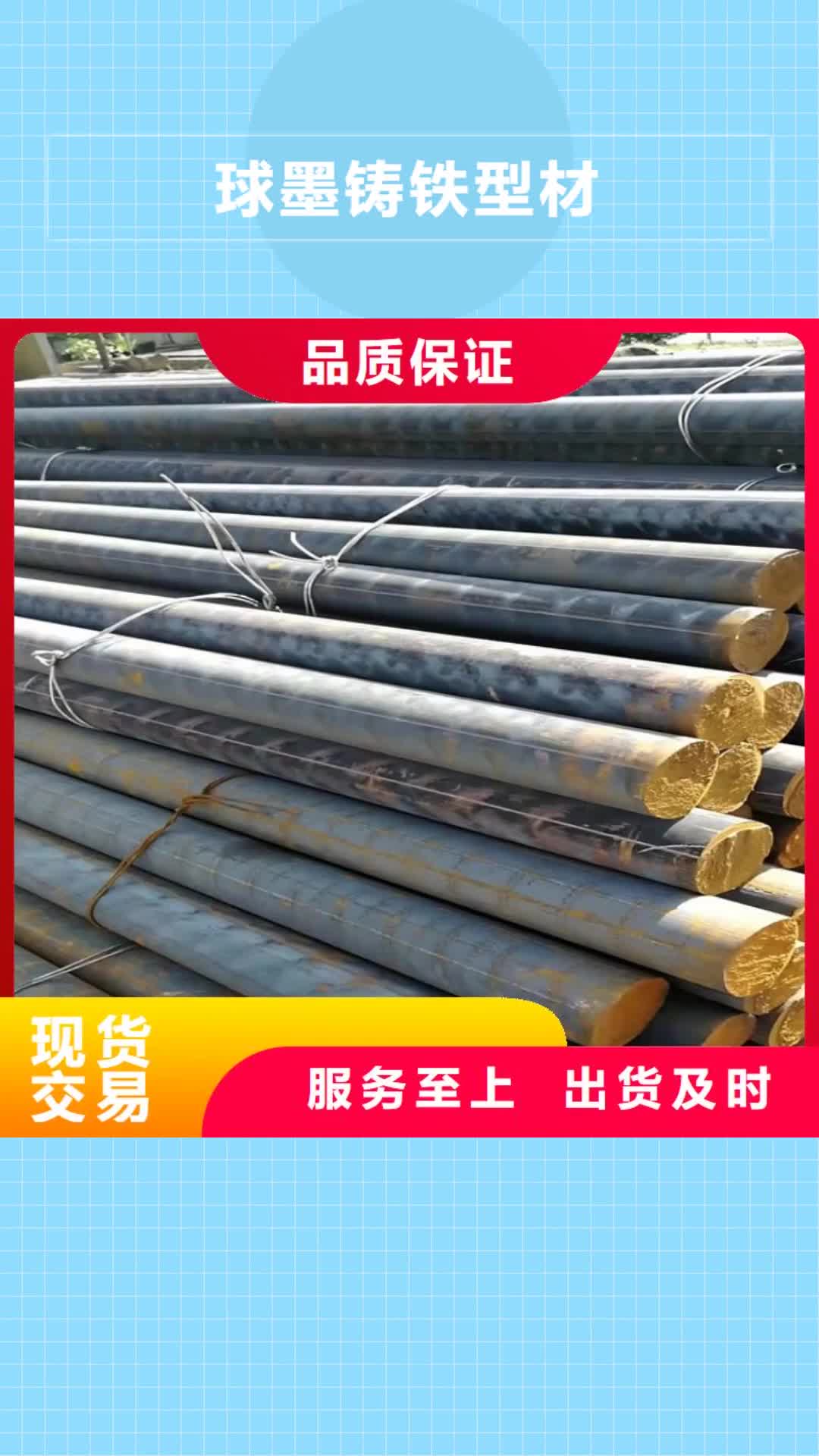 成都球墨铸铁型材排水球墨铸铁管批发货源