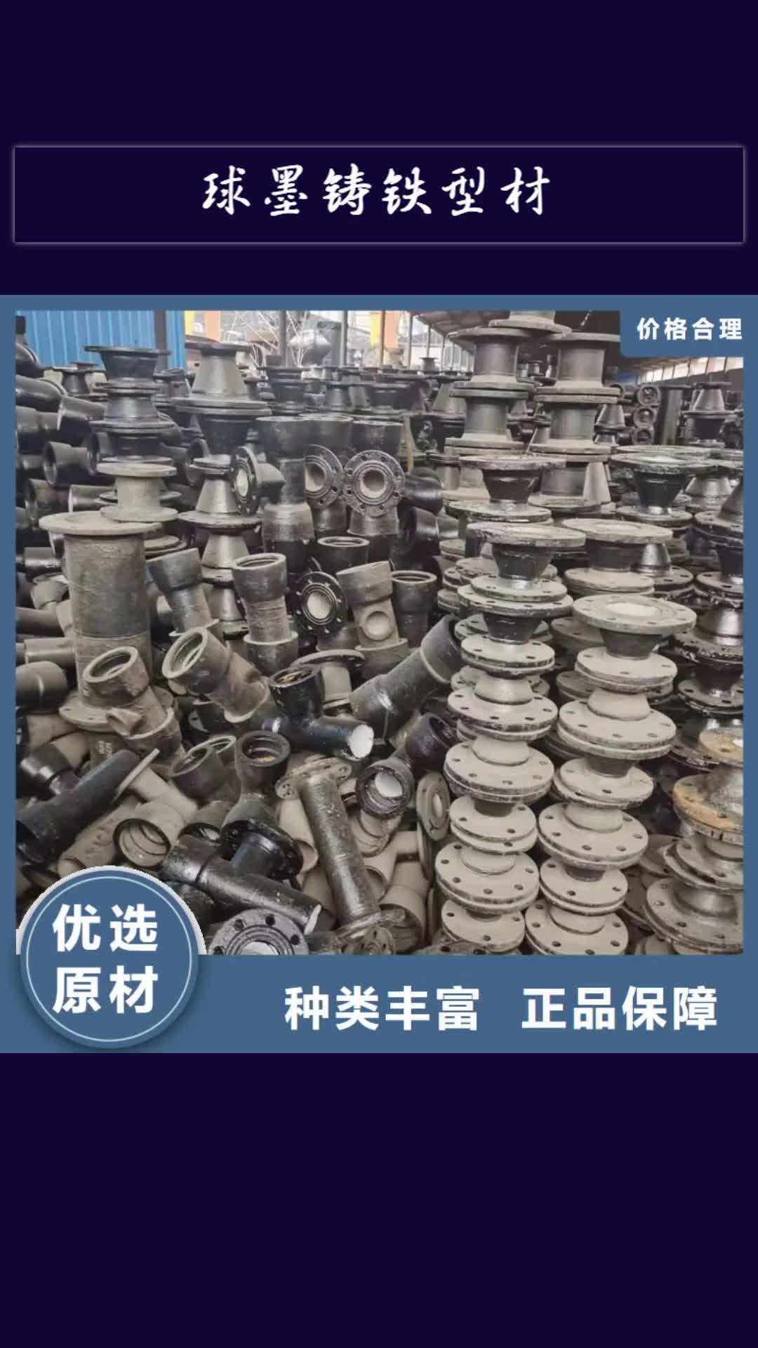 【铜仁 球墨铸铁型材,柔性铸铁排水管厂家厂家案例】