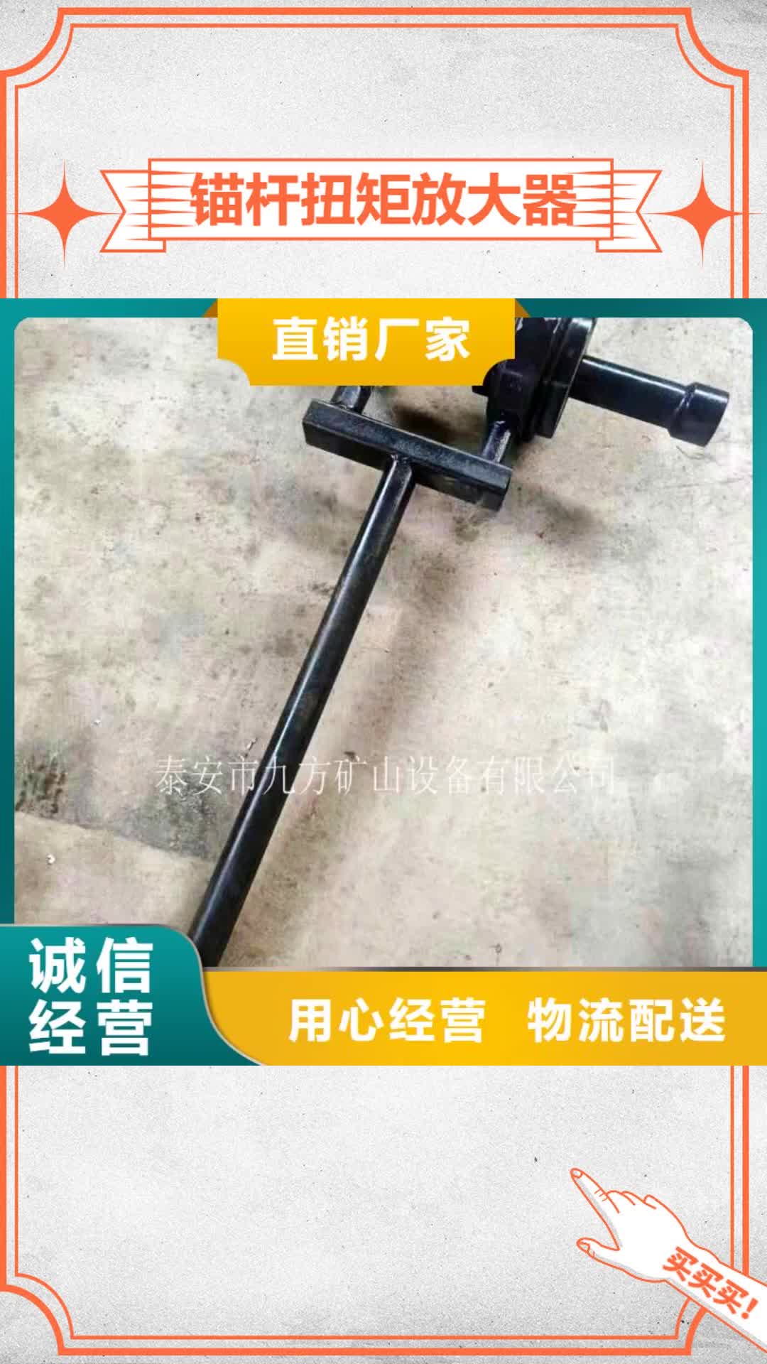 甘南 锚杆扭矩放大器,【矿用锚杆应力传感器】源头厂家量大价优