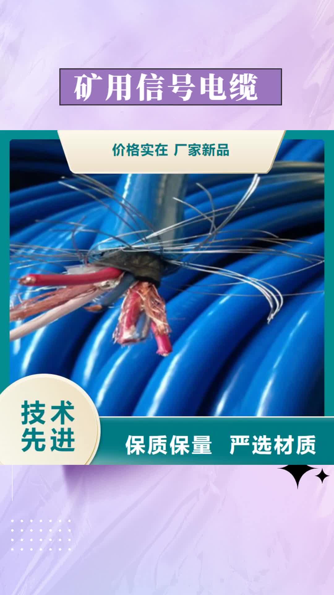 呼伦贝尔【矿用信号电缆】-电缆生产厂家优质工艺