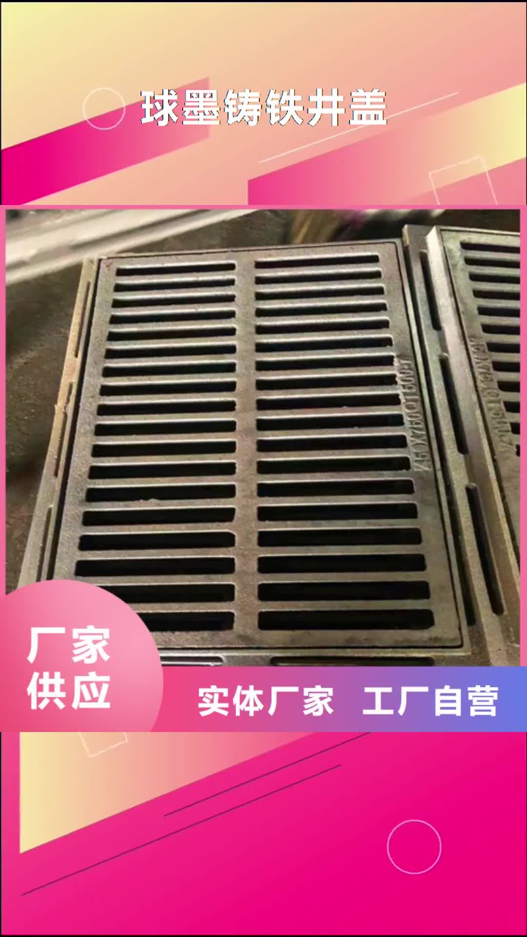 陇南球墨铸铁井盖同行低价