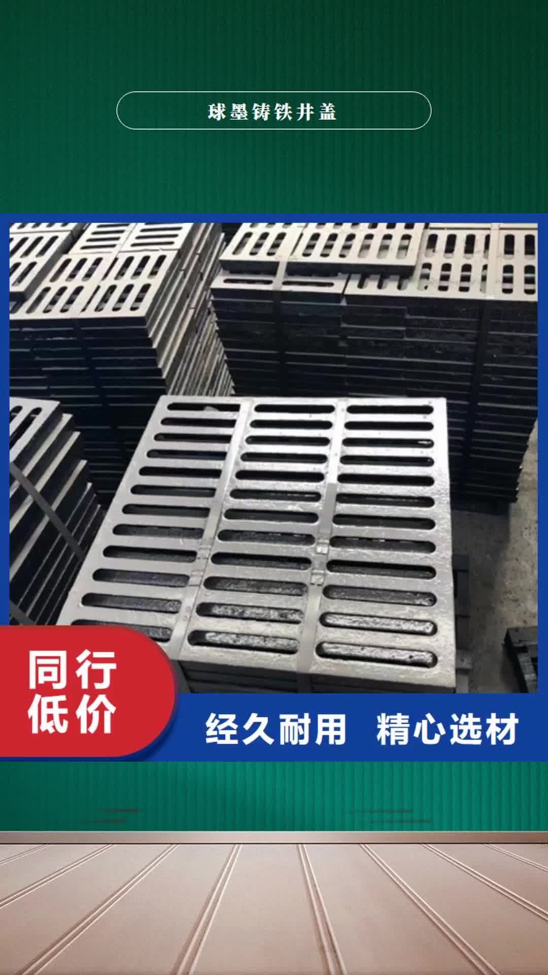 海南 球墨铸铁井盖品类齐全