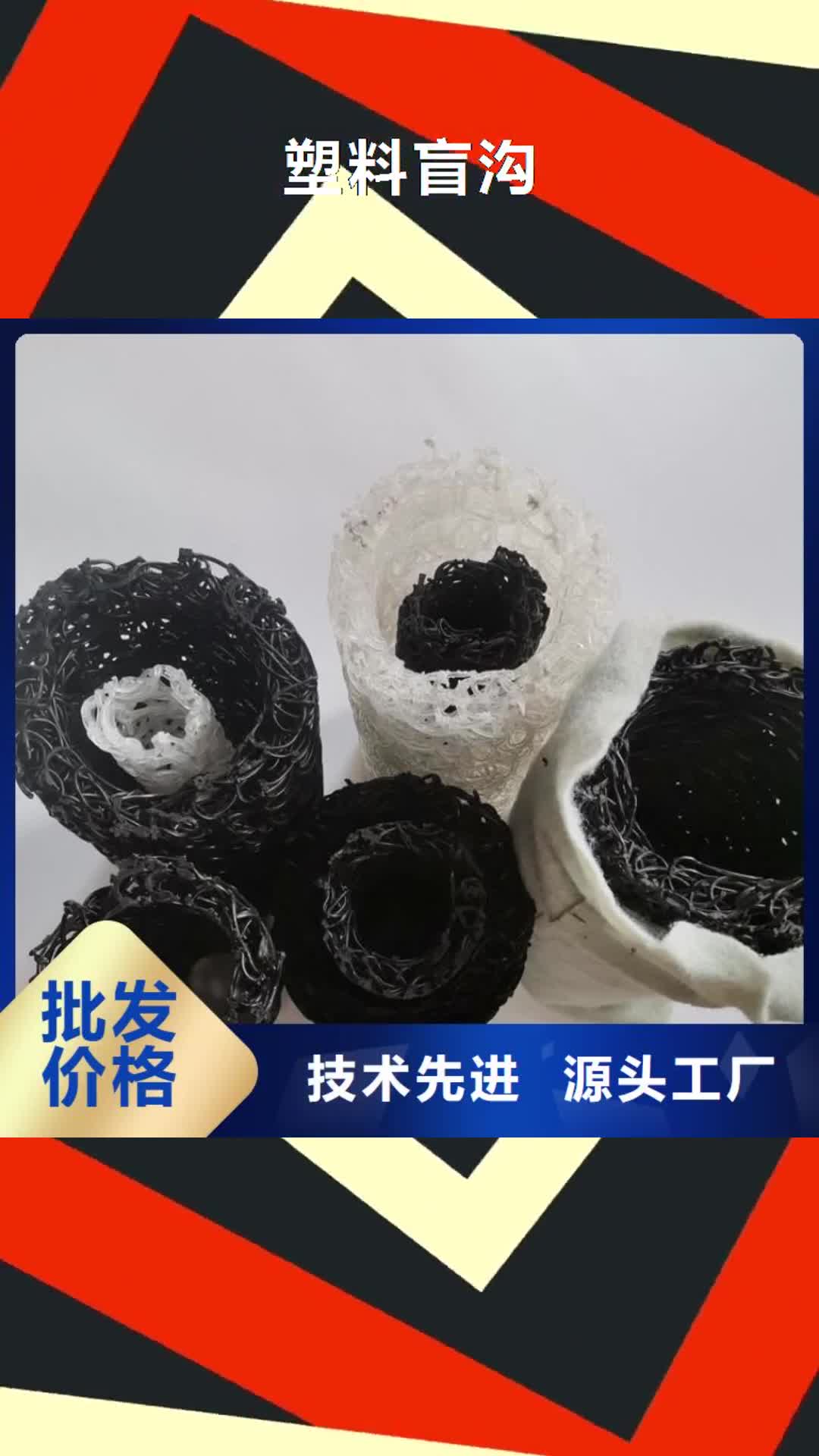 日照【塑料盲沟】_防渗膜多种场景适用