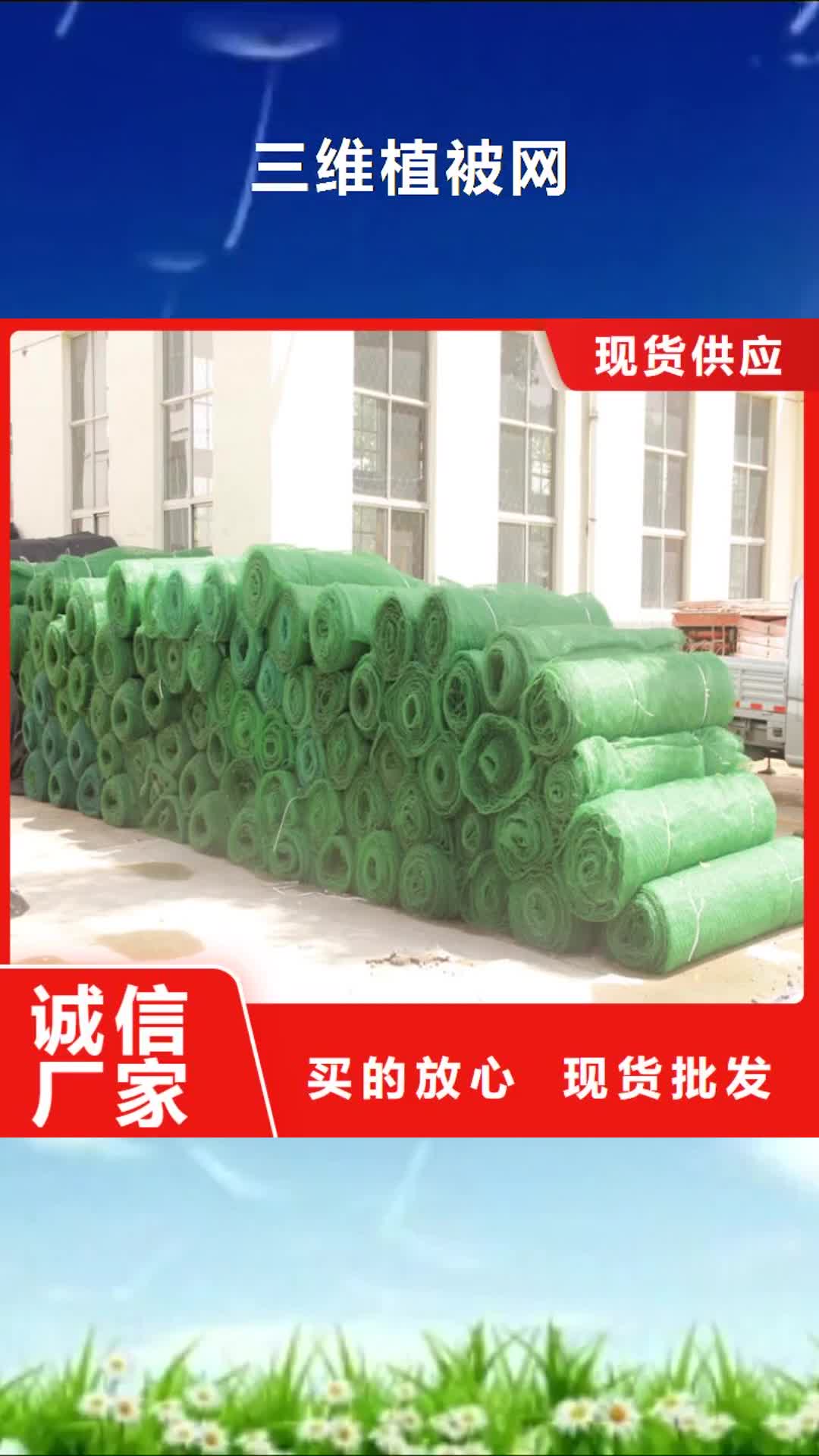 【临夏 三维植被网 土工格栅做工精细】