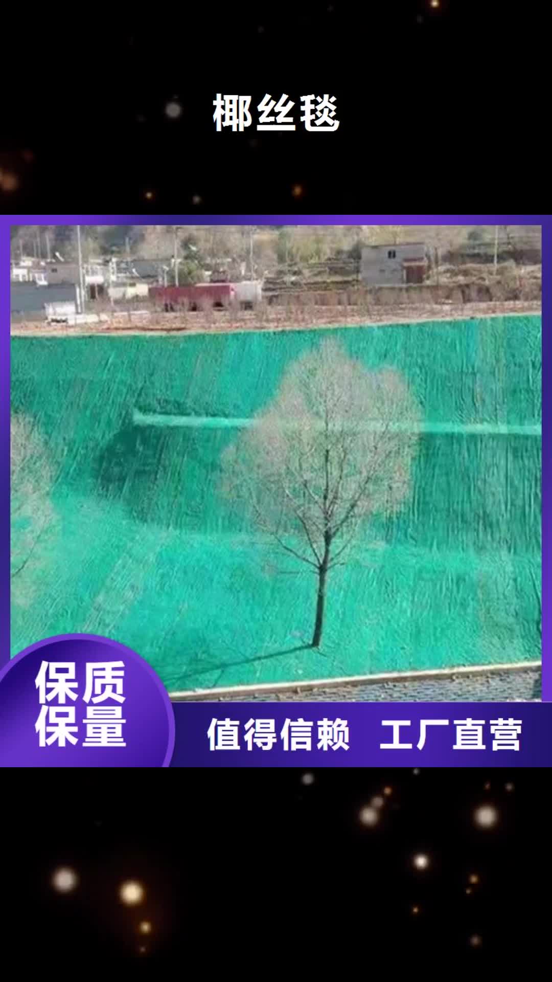 延边 椰丝毯-【HDPE土工膜】品牌企业