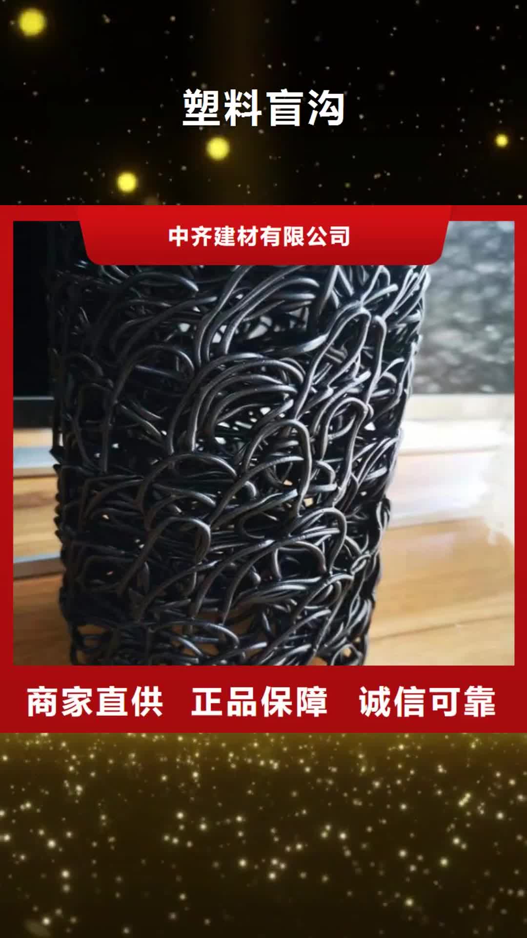 益阳【塑料盲沟】土工格栅多家仓库发货