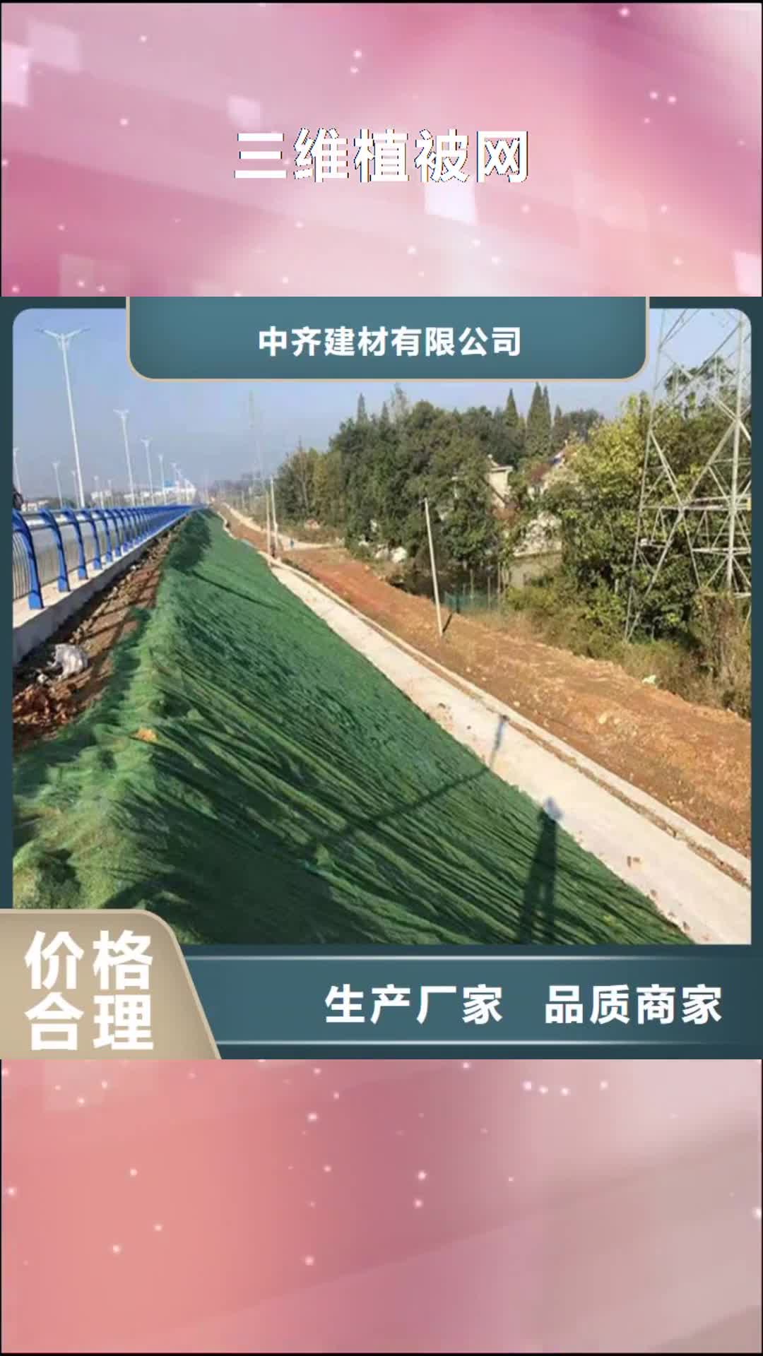 巴中【三维植被网】土工格栅拒绝伪劣产品