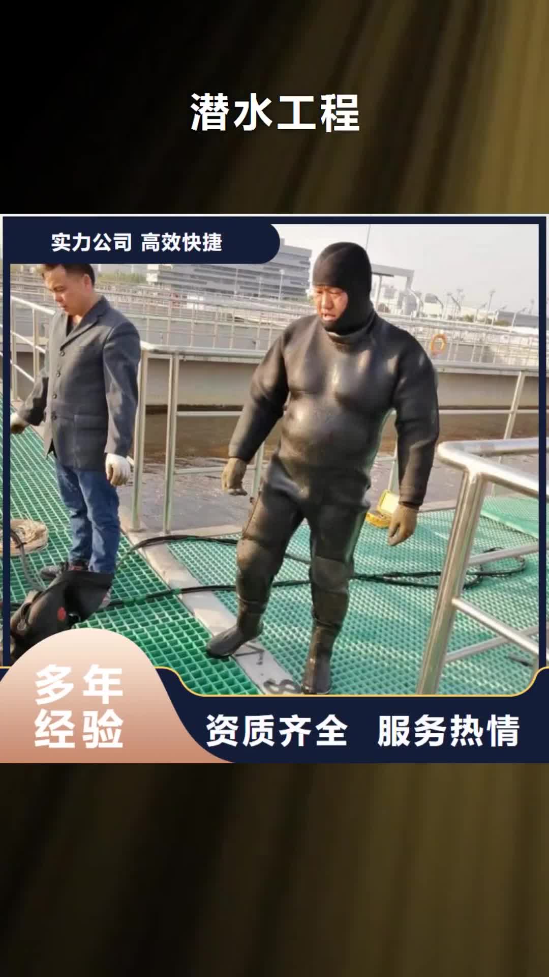 阳江潜水工程潜水作业施工欢迎询价
