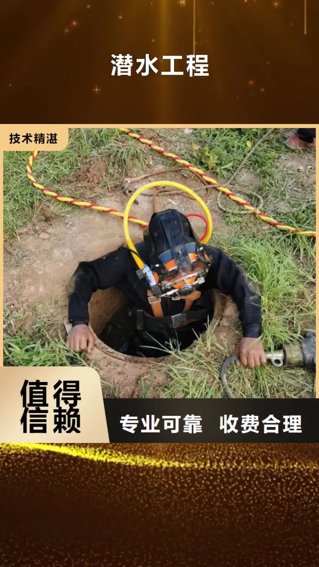 宁夏【潜水工程】_水下设施建设放心