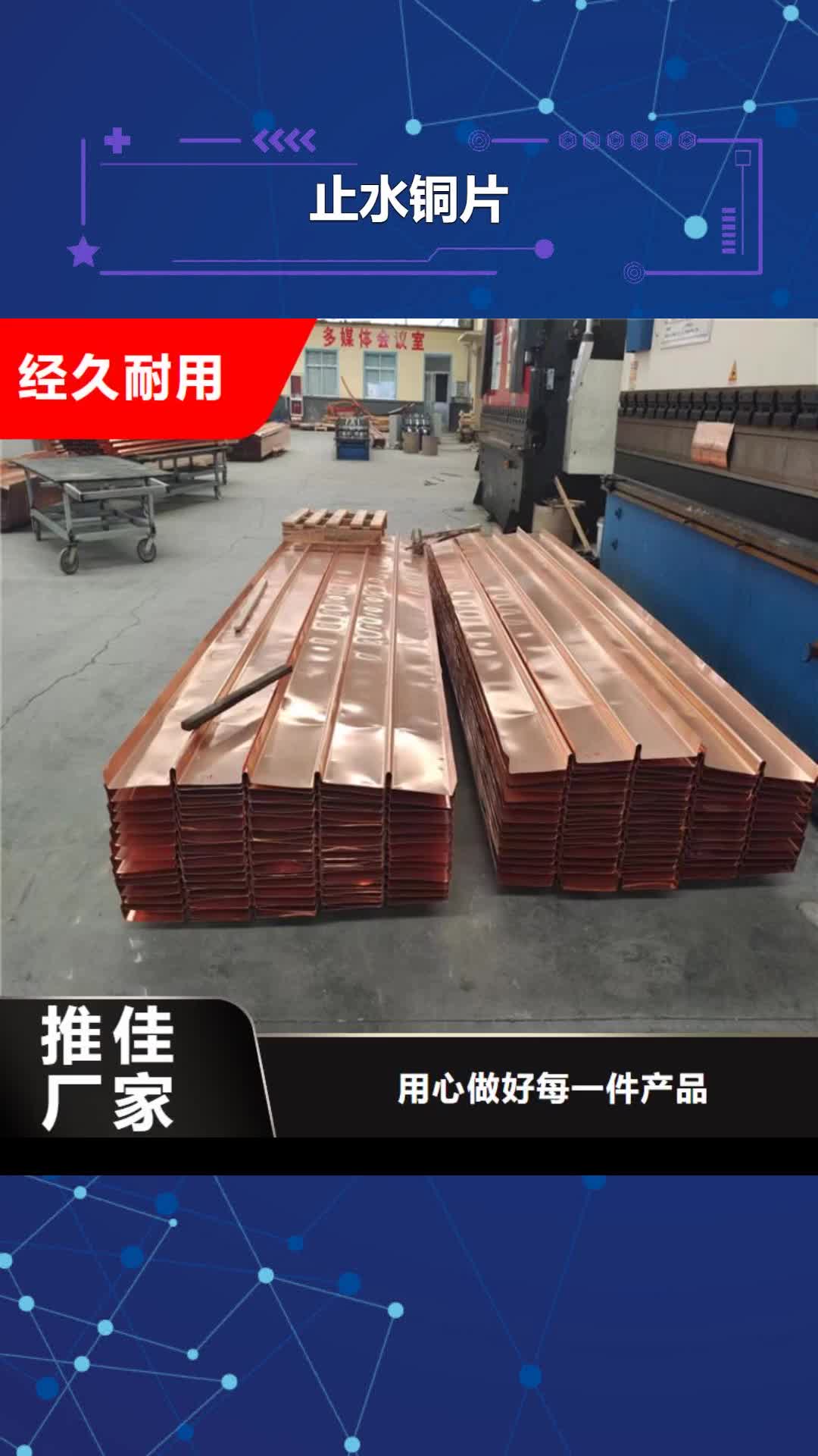 【湘西止水铜片土工布源头厂家供应】