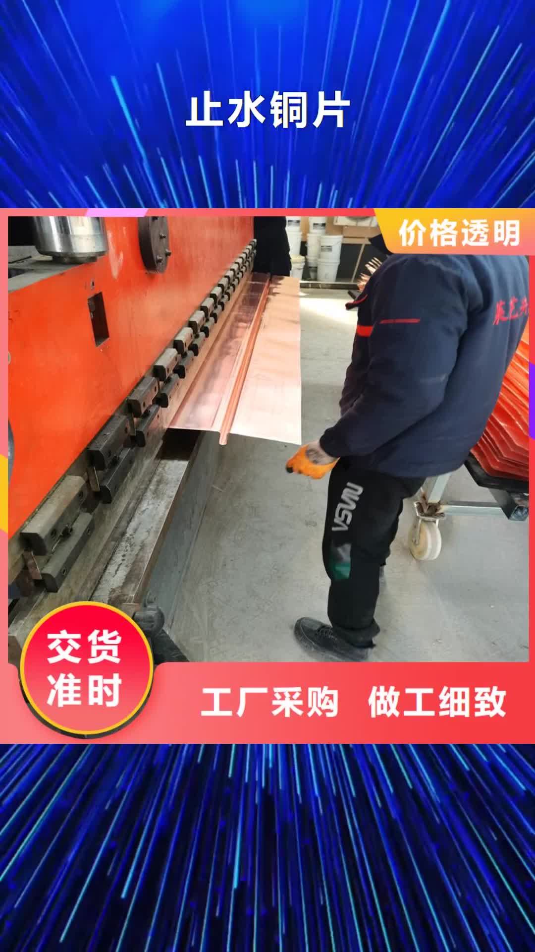 乐山【止水铜片】 聚乙烯醇纤维厂家厂诚信经营