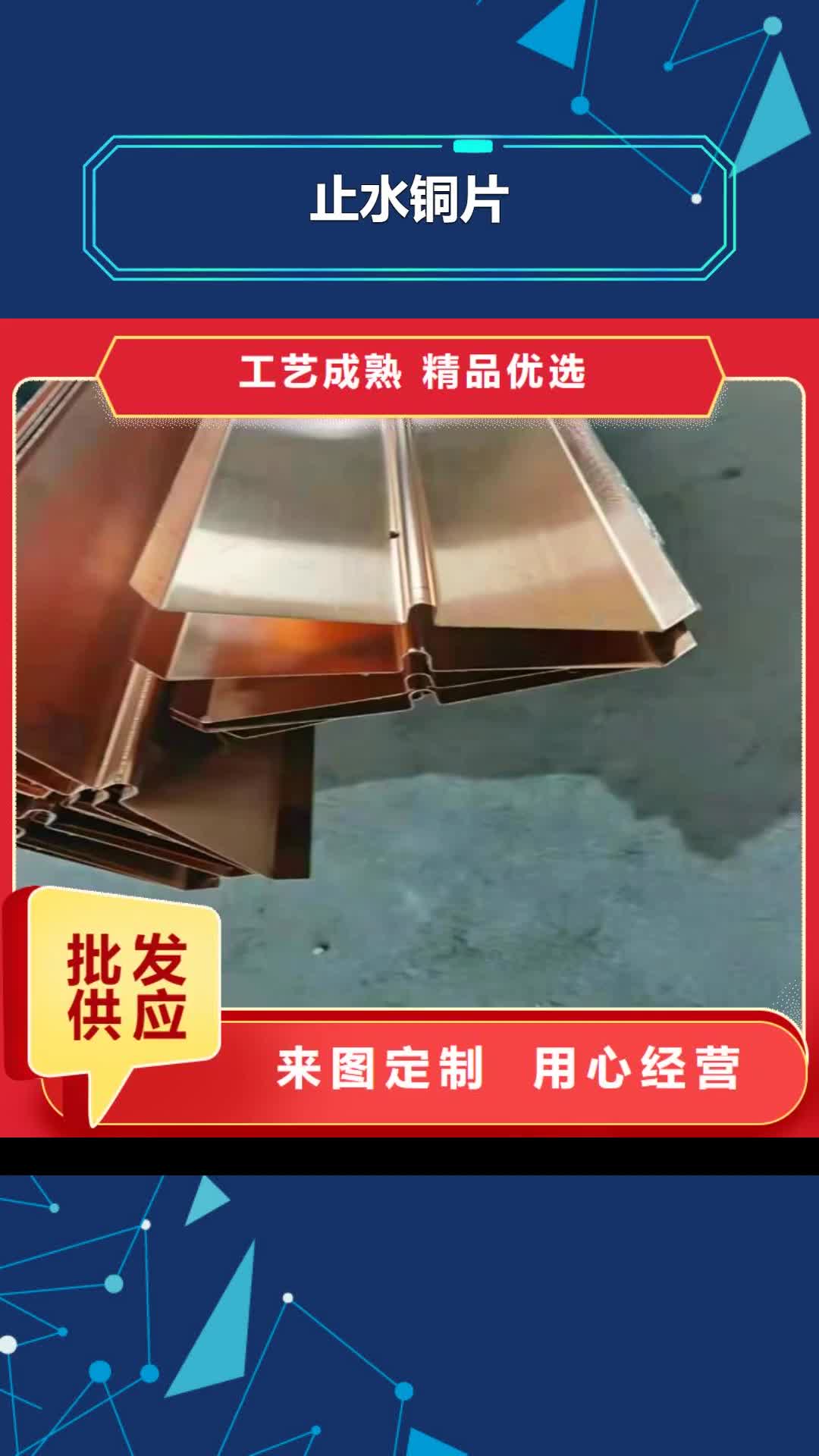 西藏 止水铜片-【单壁打孔波纹管】详细参数