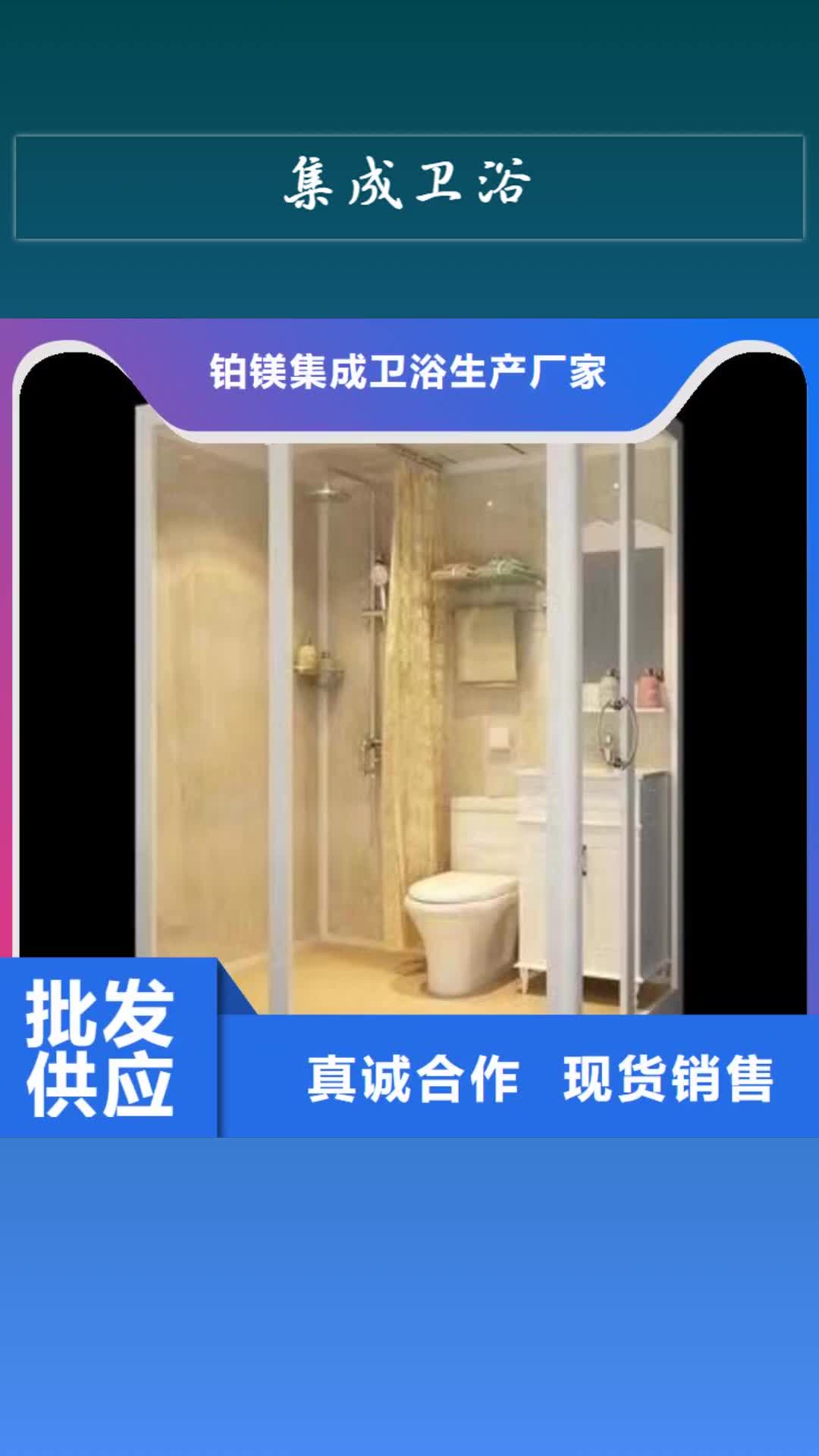 锡林郭勒 集成卫浴-【一体淋浴间】实力工厂