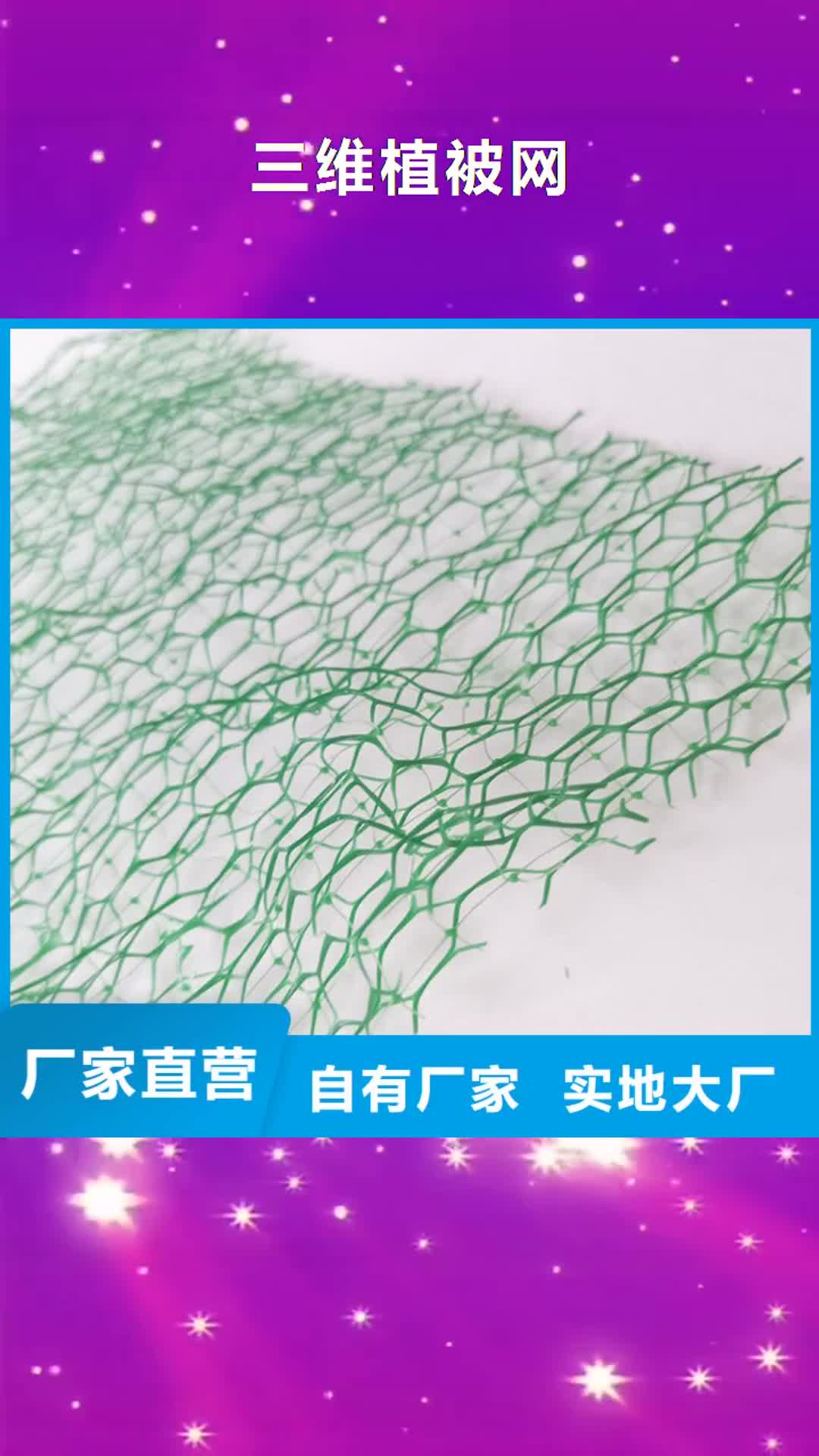 【河南 三维植被网-HDPE土工膜精选厂家好货】