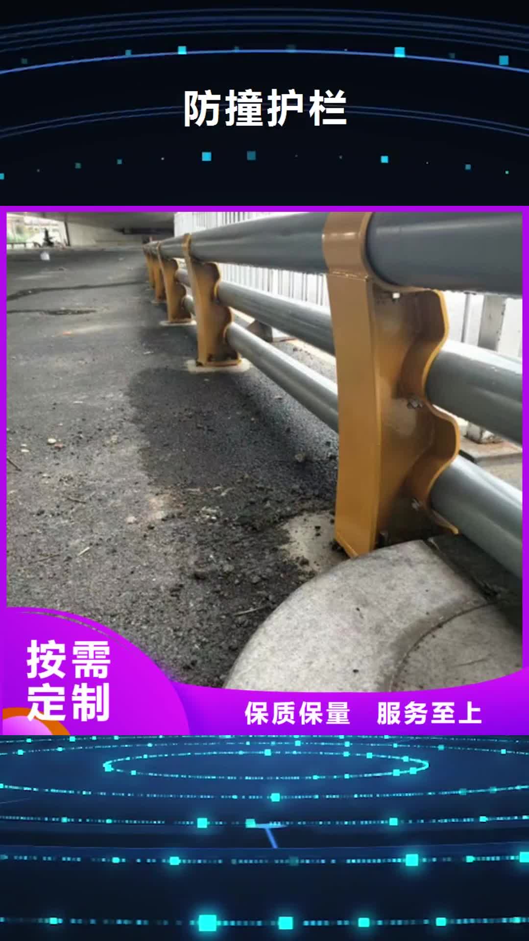【文山 防撞护栏,桥梁护栏厂家一站式服务】