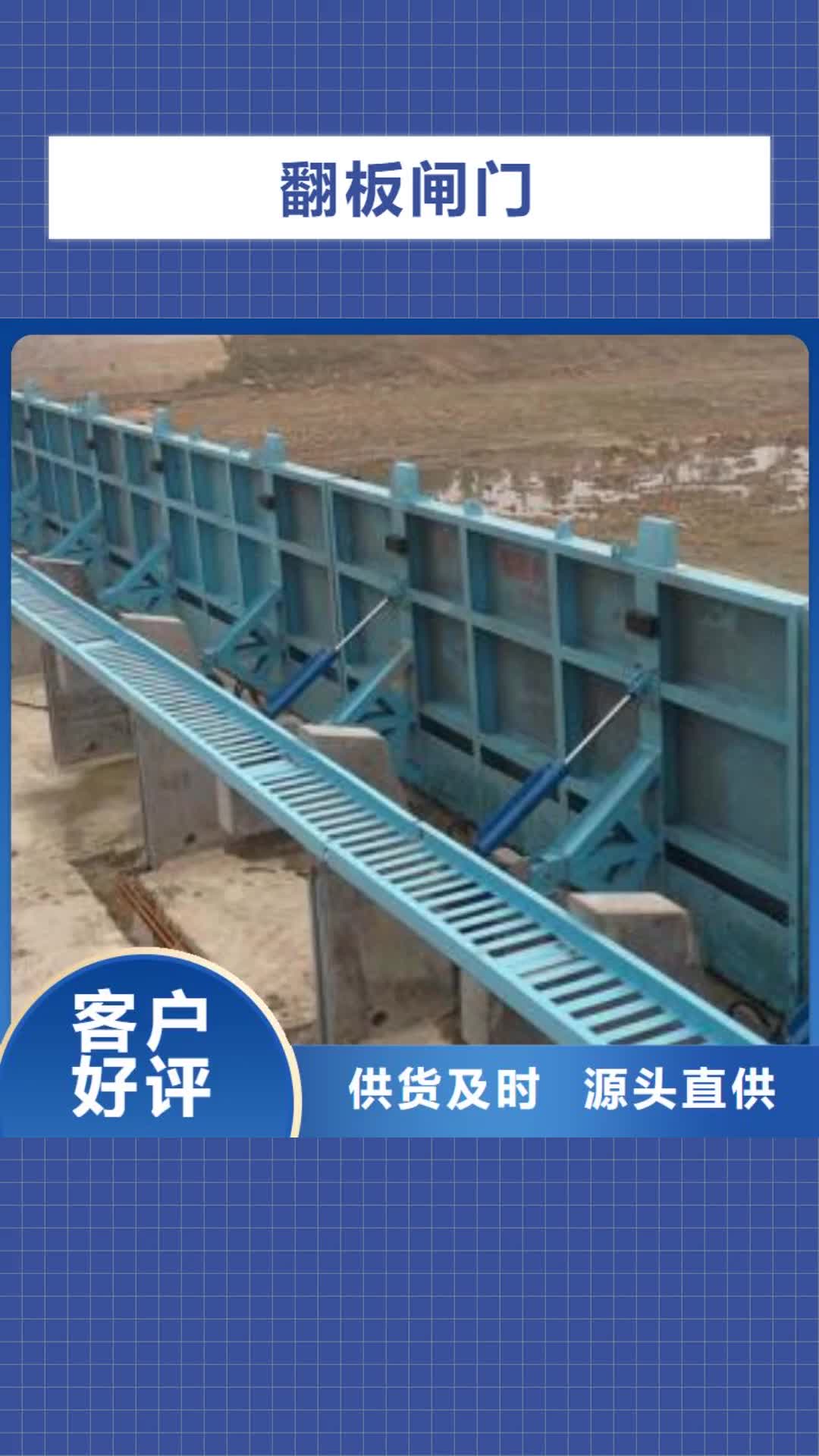 肇庆【翻板闸门】除污机经久耐用