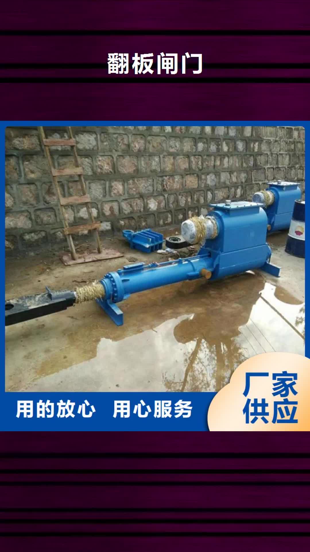 海东【翻板闸门】启闭机采购无忧