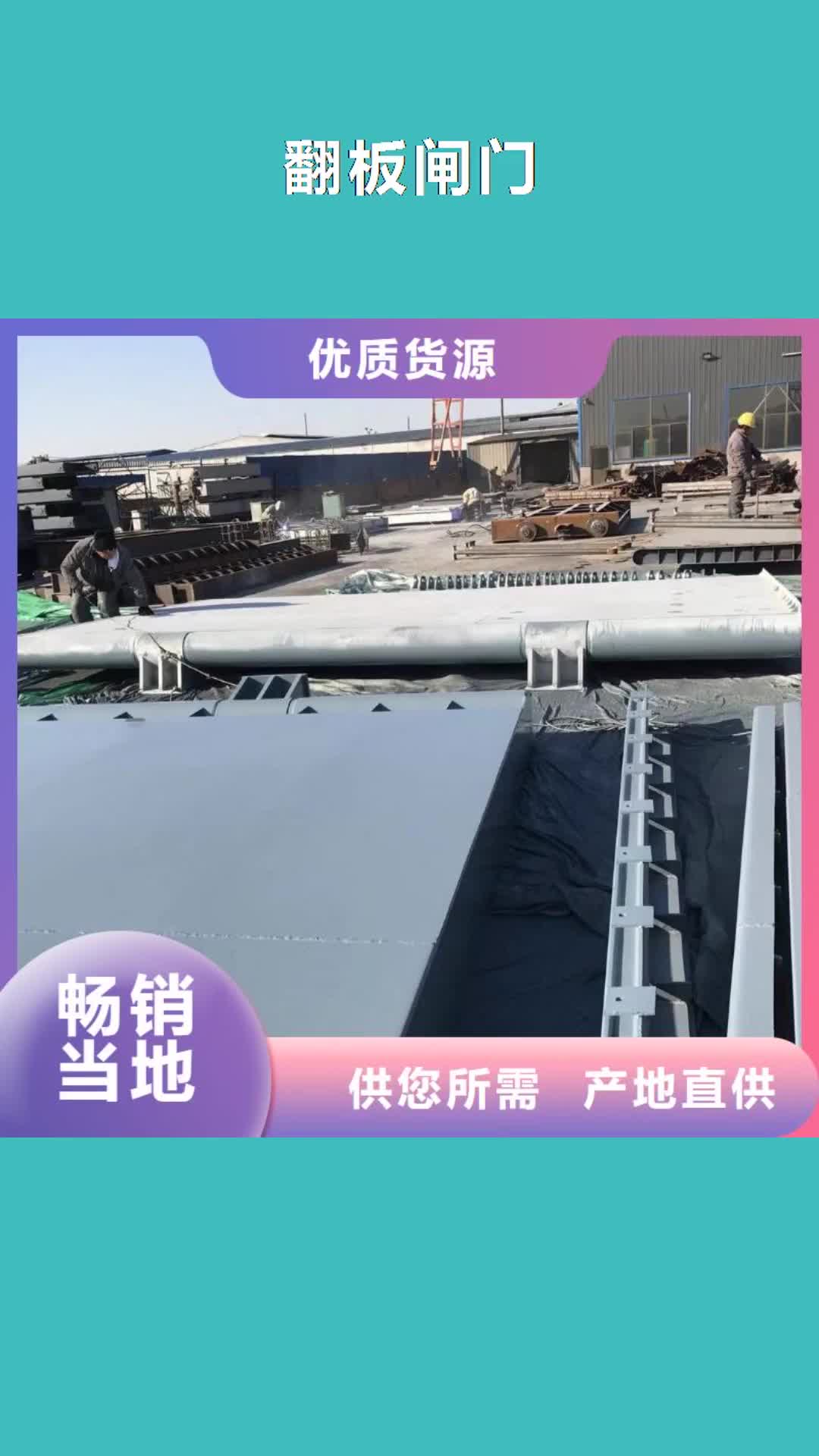 【保山 翻板闸门钢制拍门48小时发货】