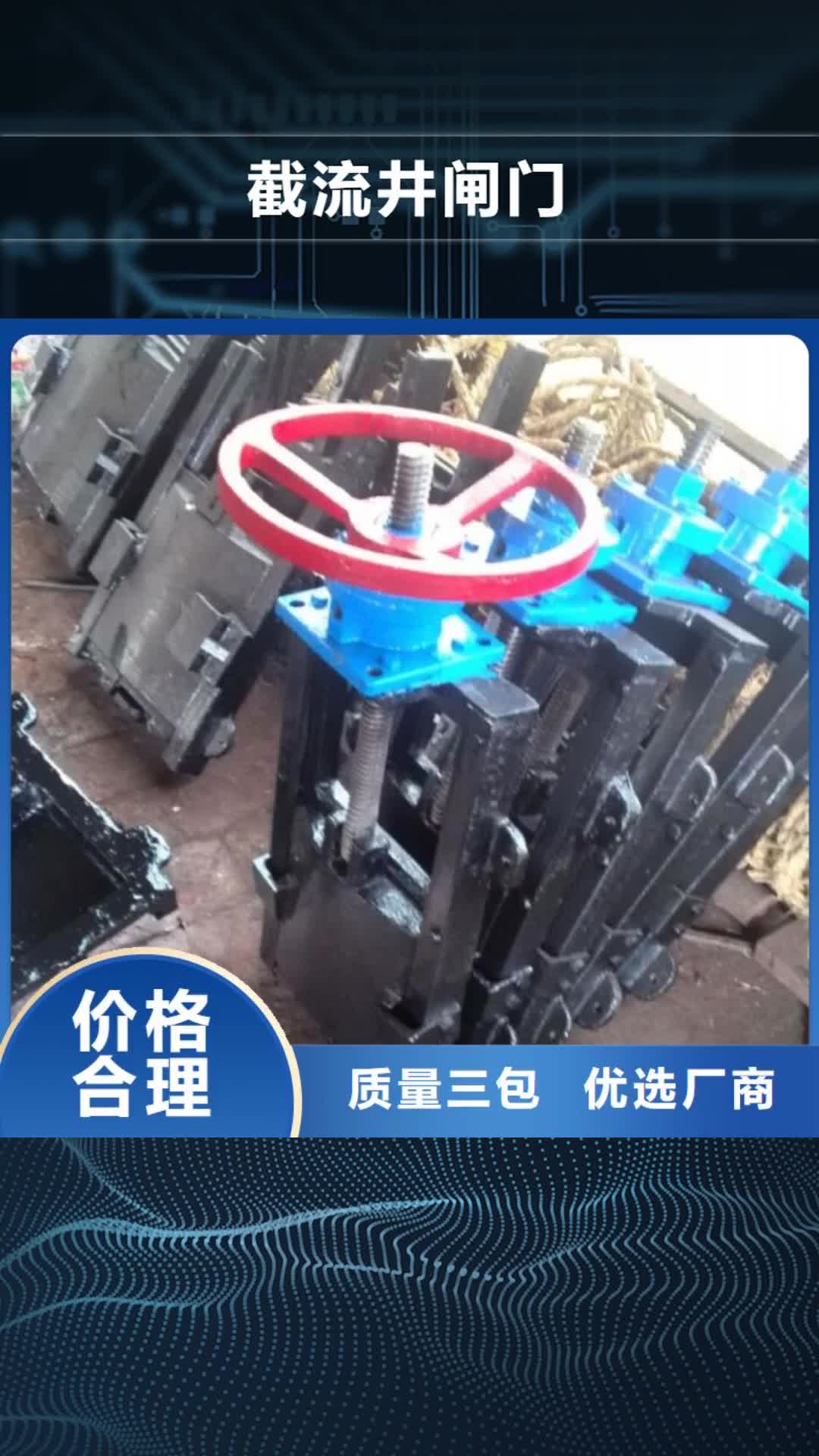 白银【截流井闸门】渠道铸铁闸门有实力有经验
