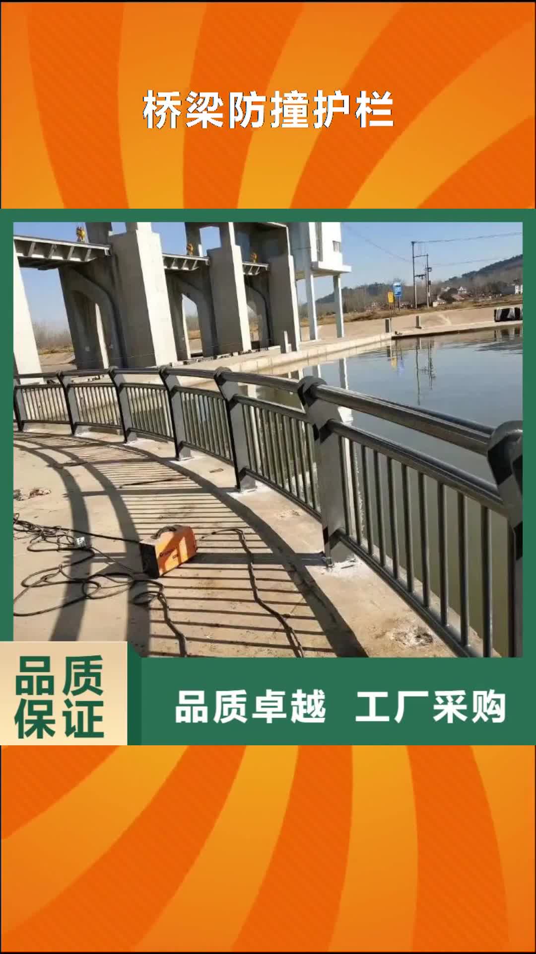 【梅州 桥梁防撞护栏 防撞护栏立柱就近发货】