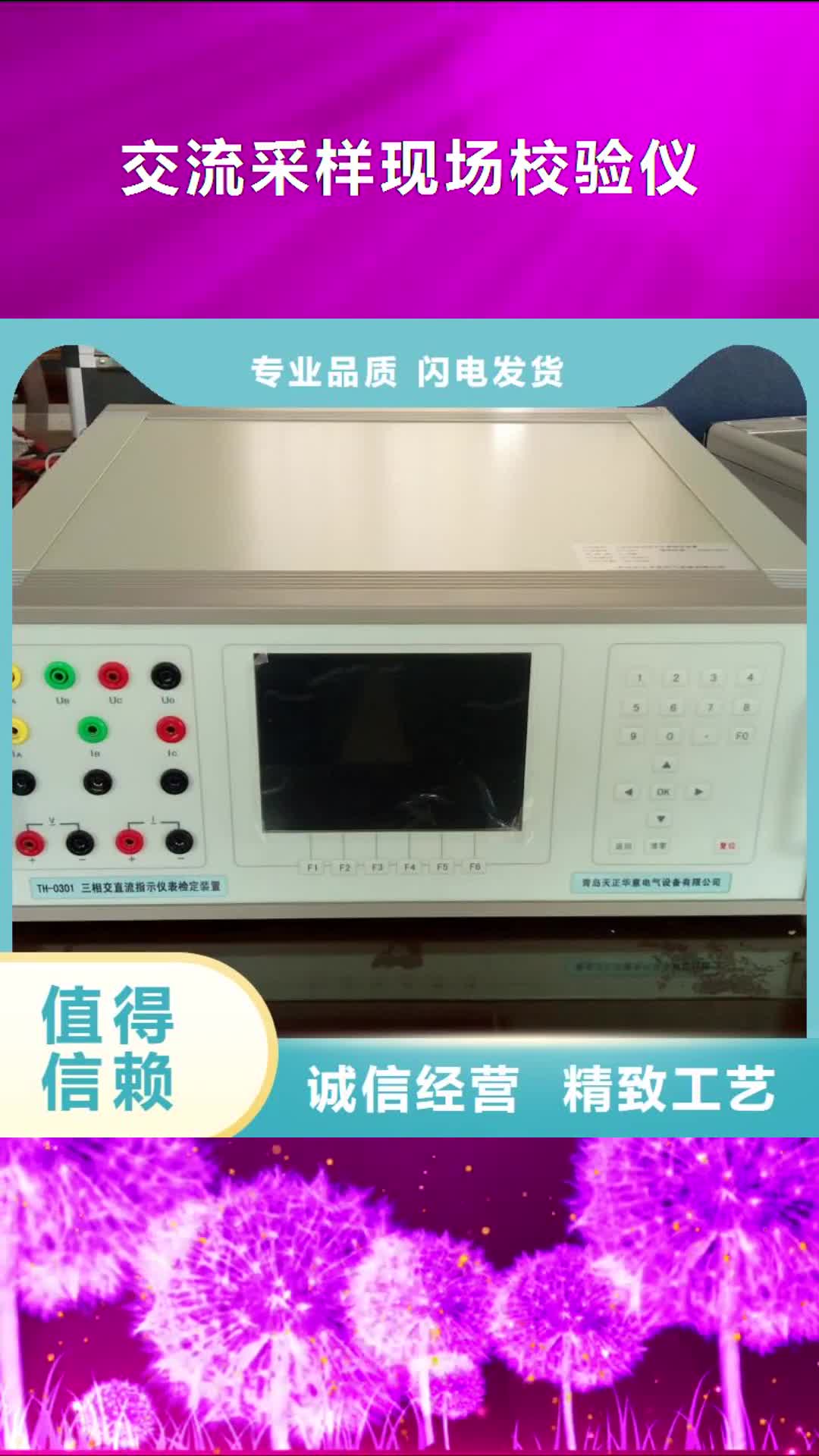 内蒙古 交流采样现场校验仪-【直流高压发生器】源头厂家直销