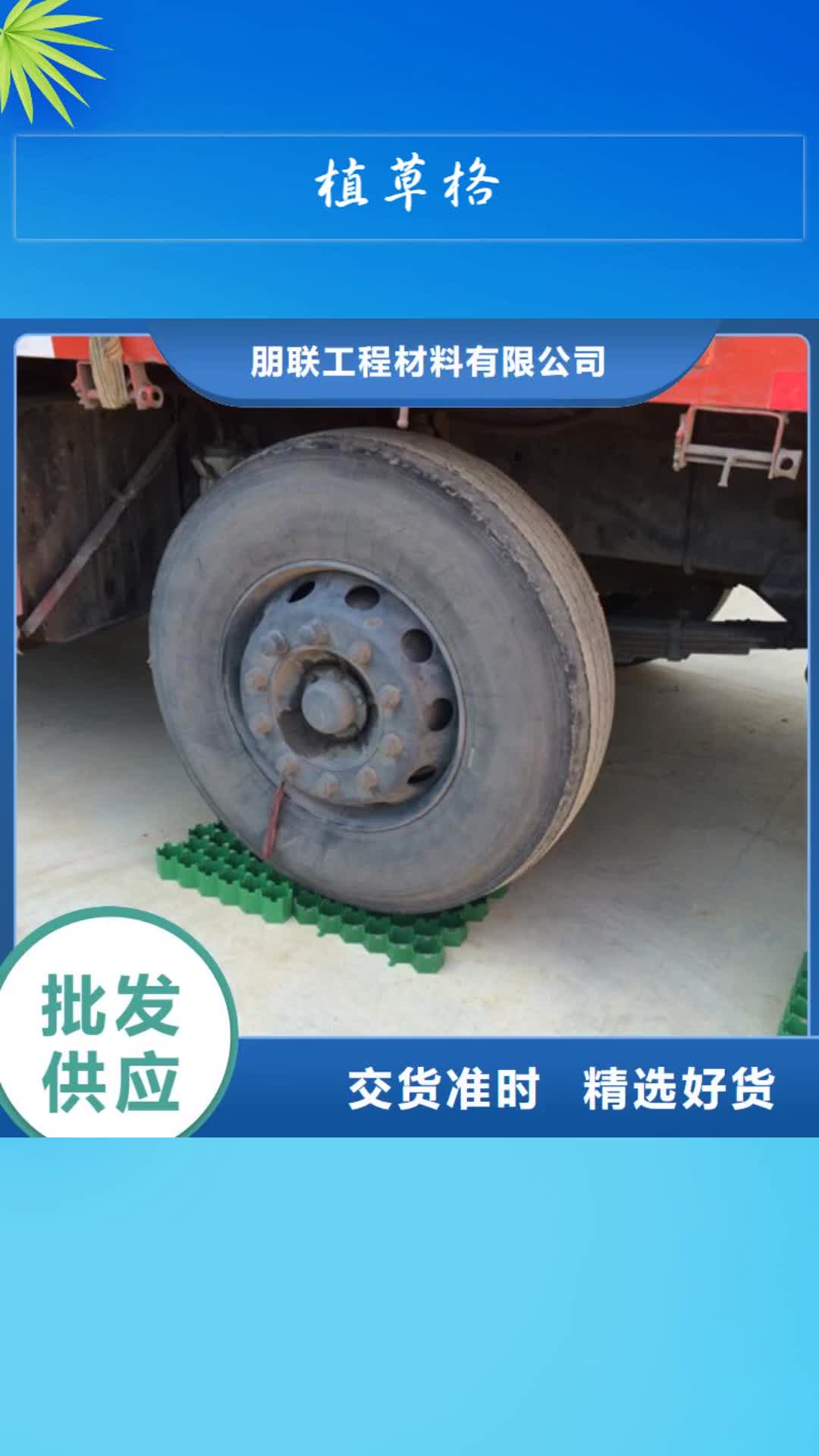 【沧州 植草格,水泥化粪池规格齐全实力厂家】