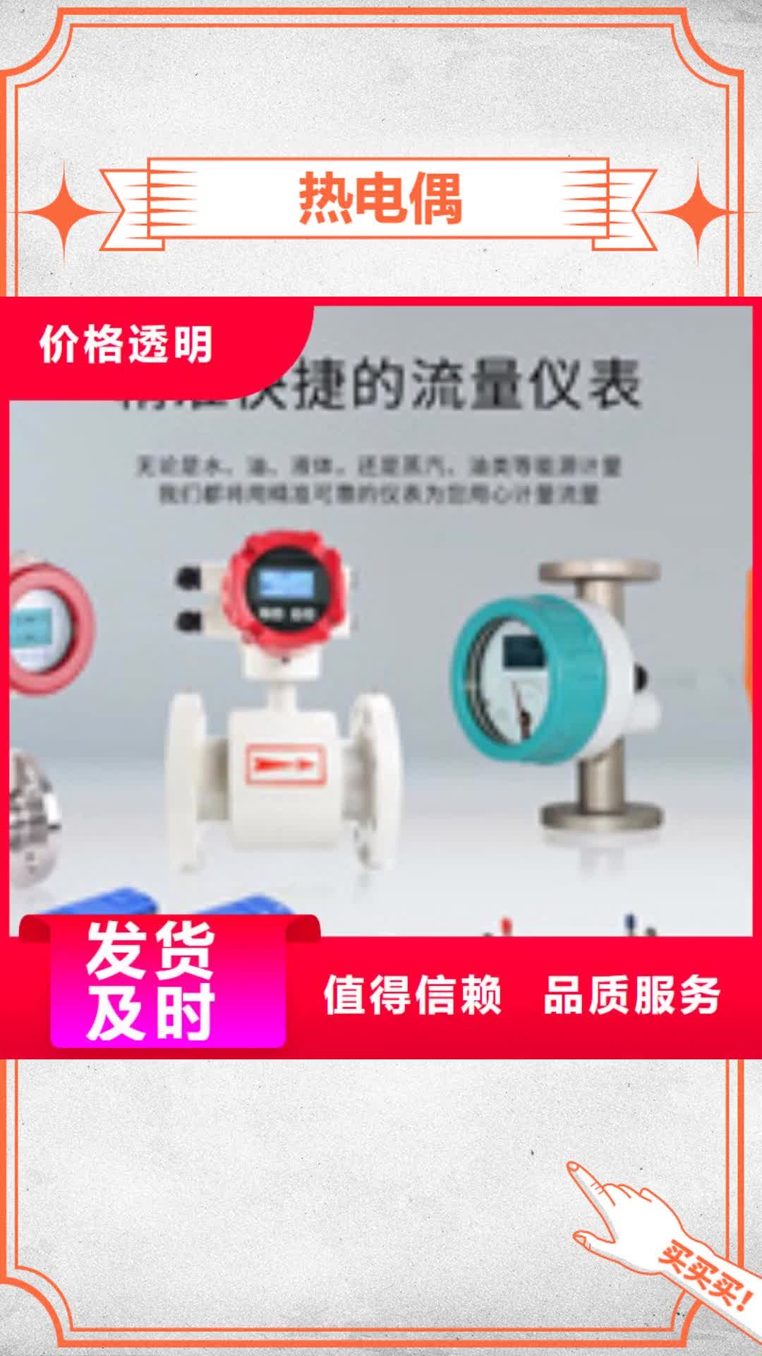 【黔东南 热电偶流量积算仪用心做产品】