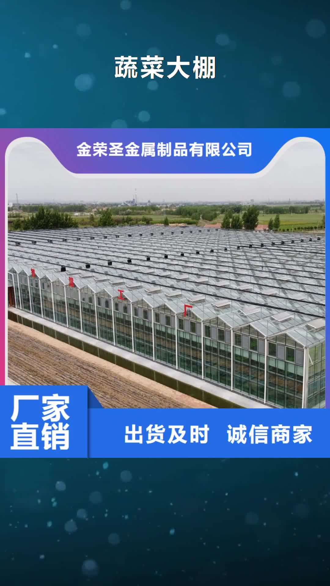 六安【蔬菜大棚】温室大棚工艺精细质保长久
