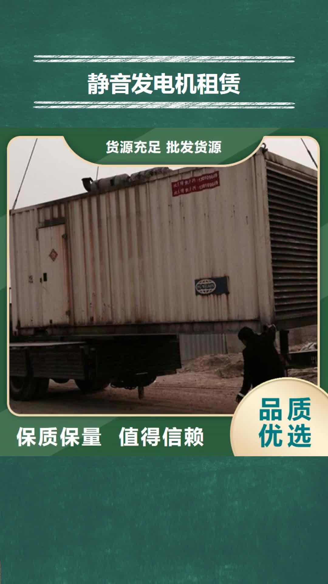 【湖北 静音发电机租赁 发电机出租加工定制】